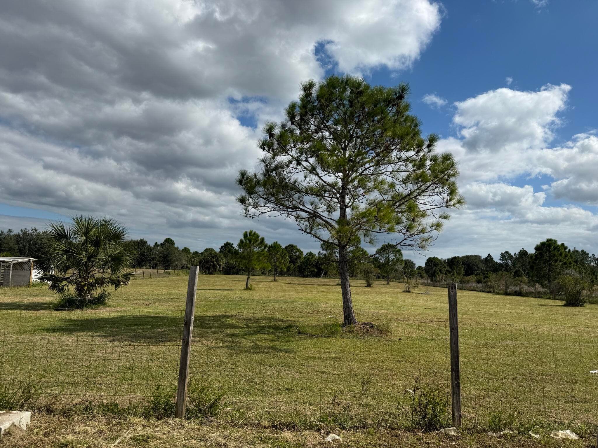15628 NW 310th Street, Okeechobee, FL 34972 — photo 18 of 38