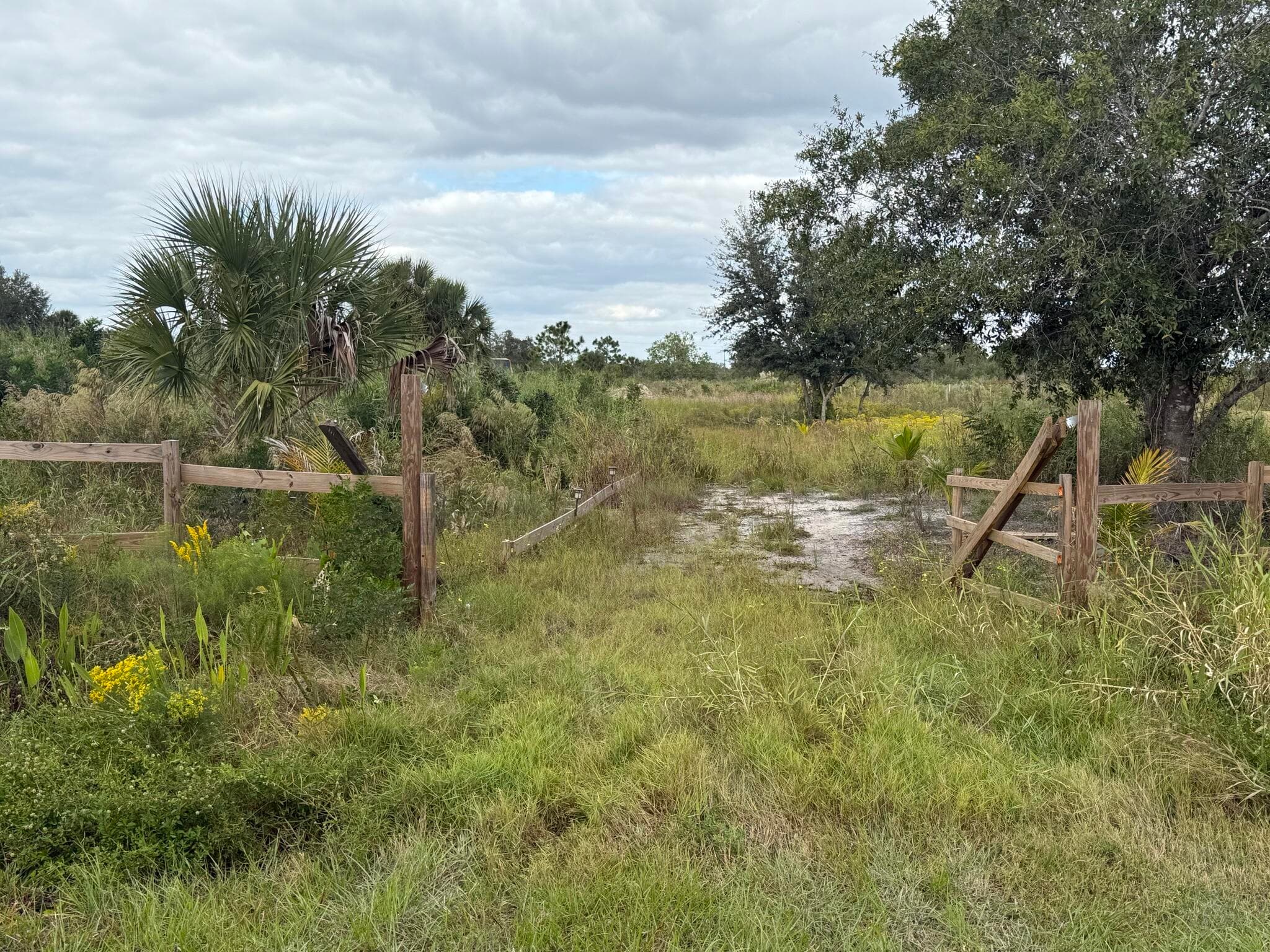 18677 NW 270th Street, Okeechobee, FL 34972 — photo 14 of 22