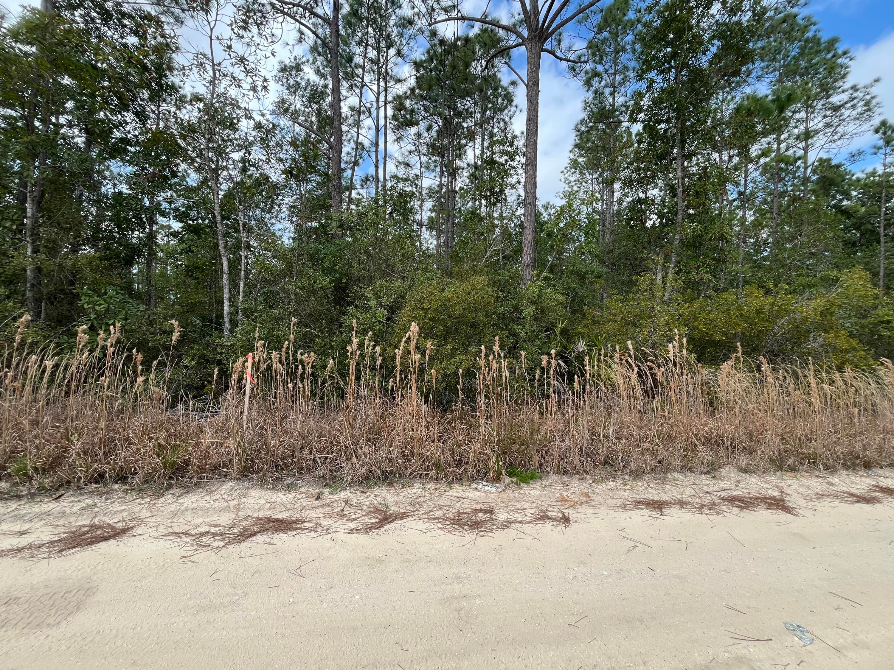 215 Royal Avenue, Interlachen, FL 32148 — photo 4 of 13