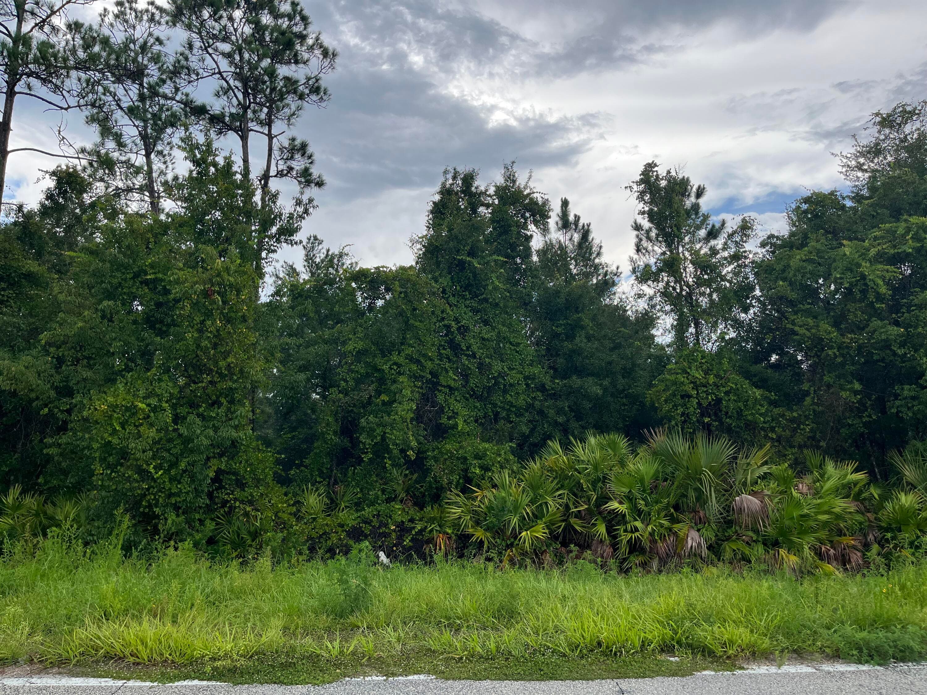 6883 St Johns Avenue, Palatka, FL 32177 — photo
