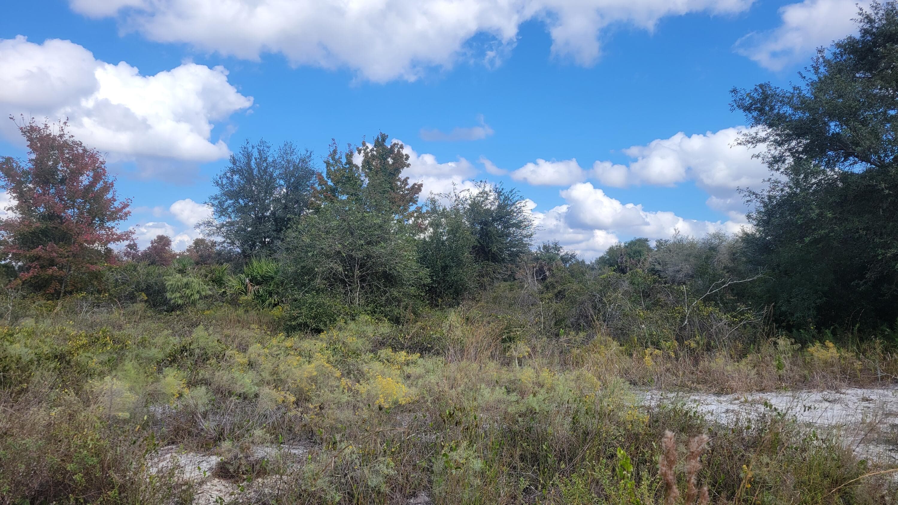 21321 NW 272nd Street, Okeechobee, FL 34972 — photo 3 of 4