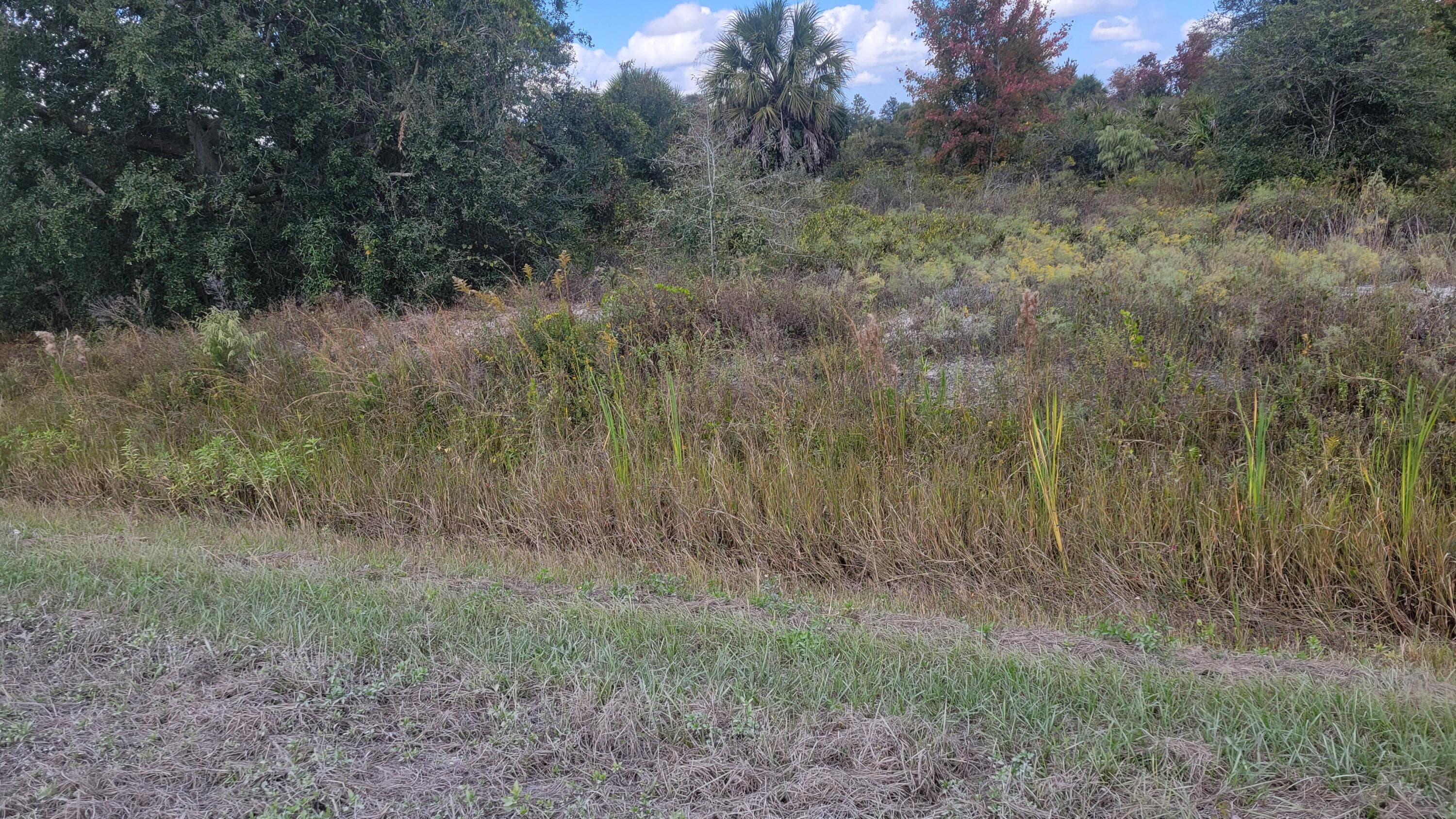 21321 NW 272nd Street, Okeechobee, FL 34972 — photo 4 of 4