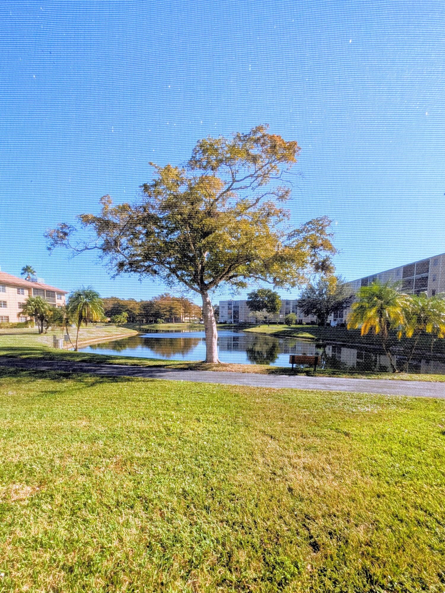 7960 NW 50th Street 104, Lauderhill, FL 33351 — photo 6 of 12