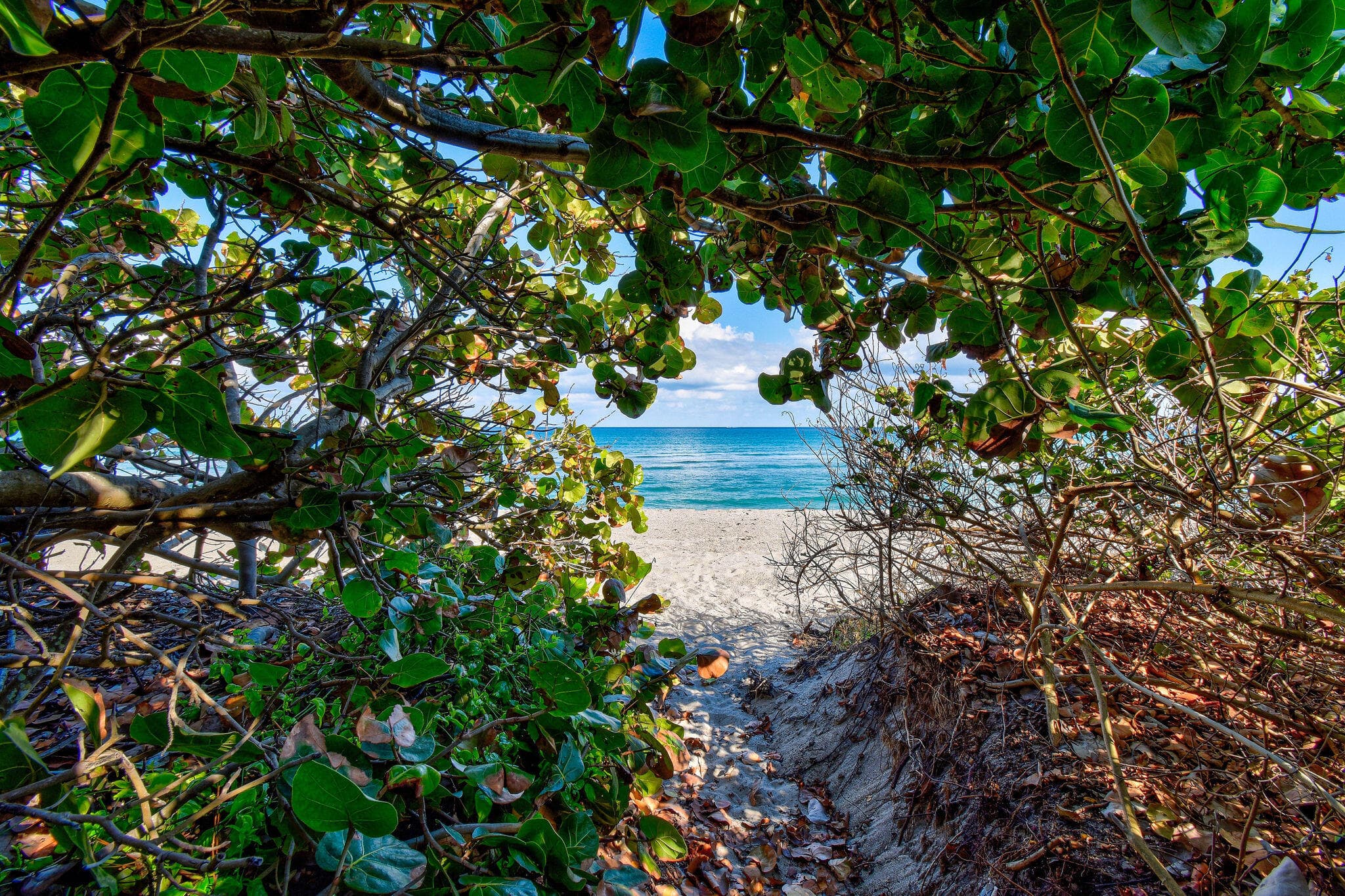 941 Ocean Drive, Juno Beach, FL 33408 — photo 36 of 53