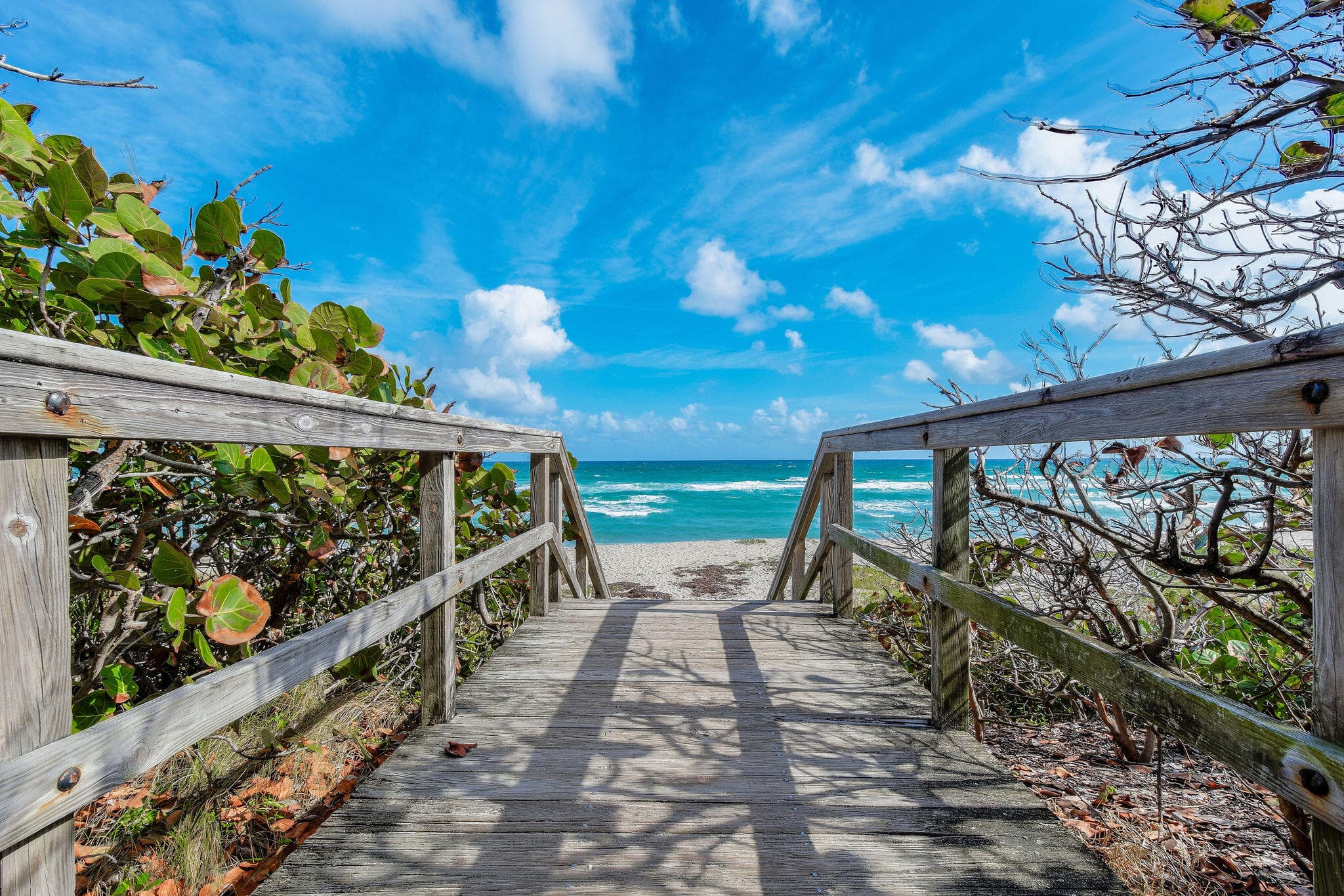 444 Zephyr Way, Juno Beach, FL 33408 — photo 44 of 53