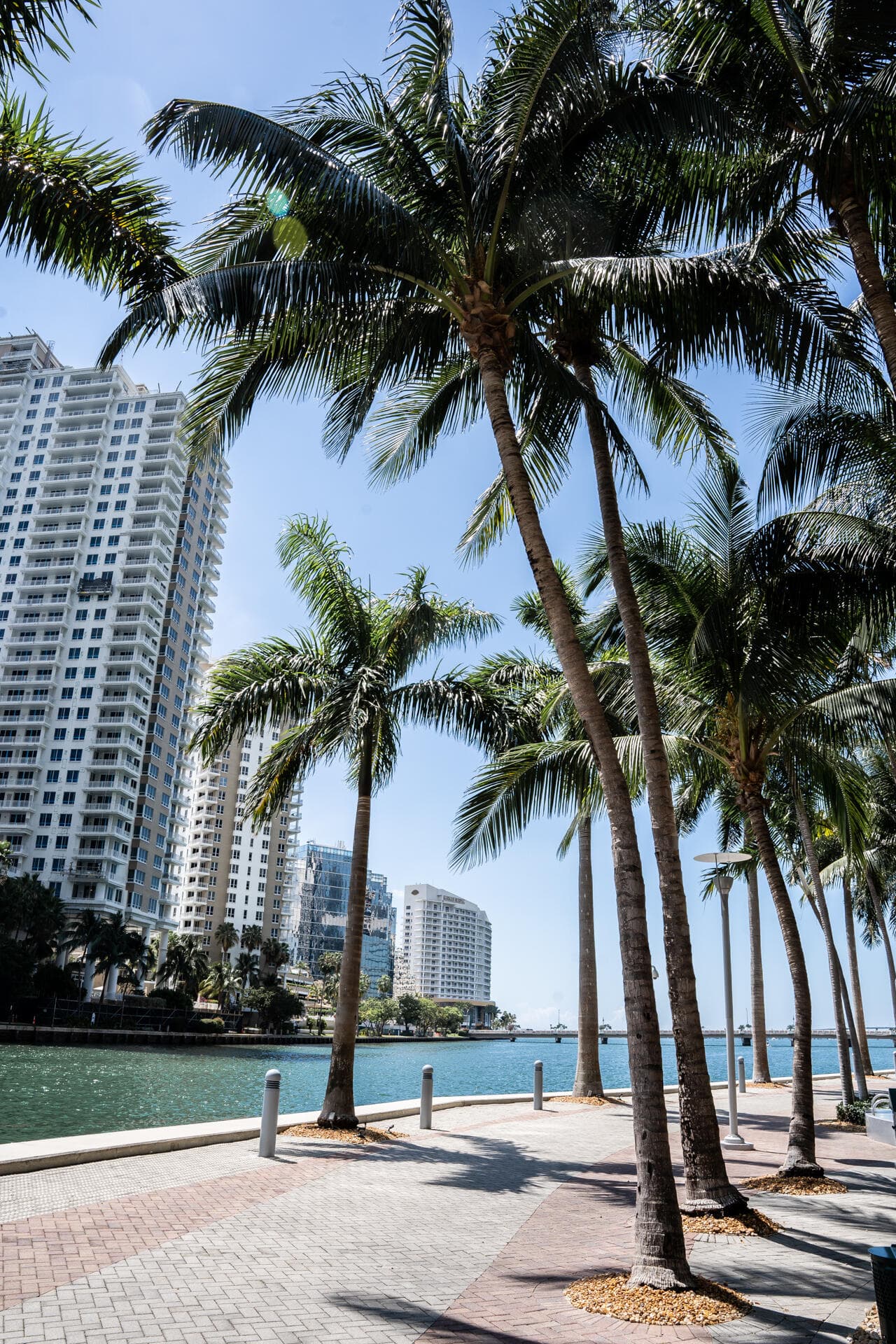495 Brickell Avenue 4010, Miami, FL 33131 — photo 51 of 55