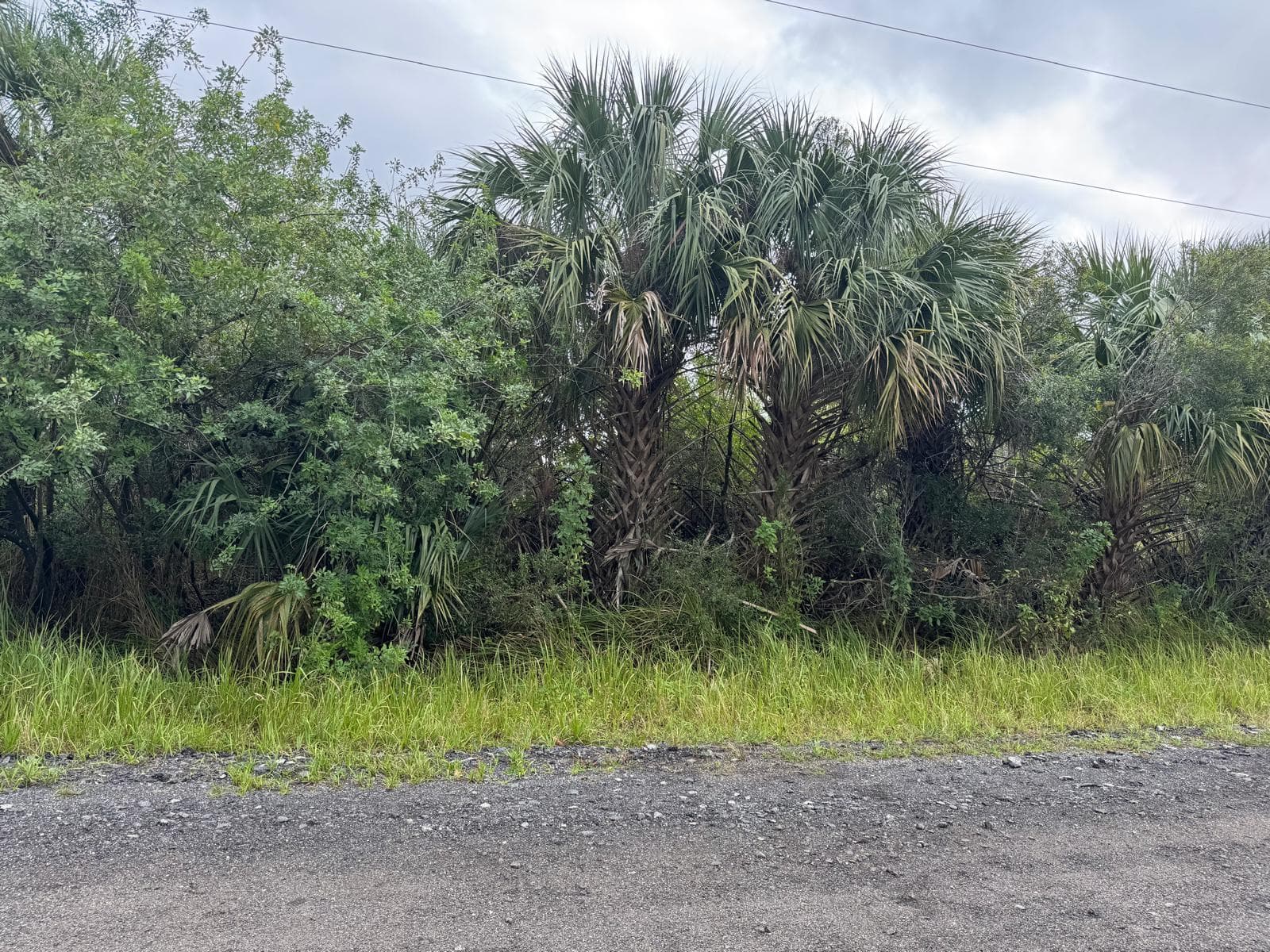 3395 Fitzpatrick Avenue SW, Palm Bay, FL 32908 — photo 4 of 4