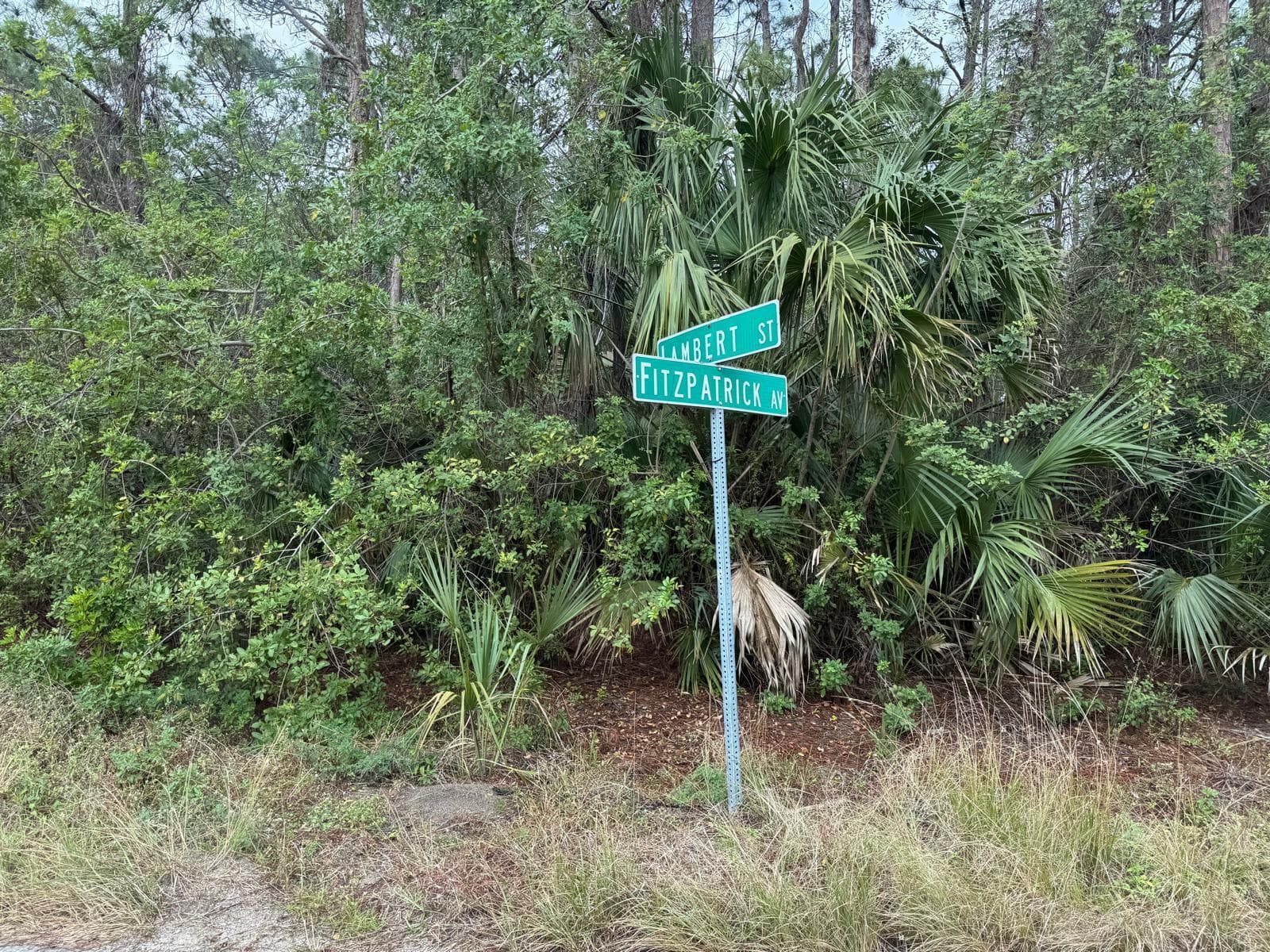 3395 Fitzpatrick Avenue SW, Palm Bay, FL 32908 — photo