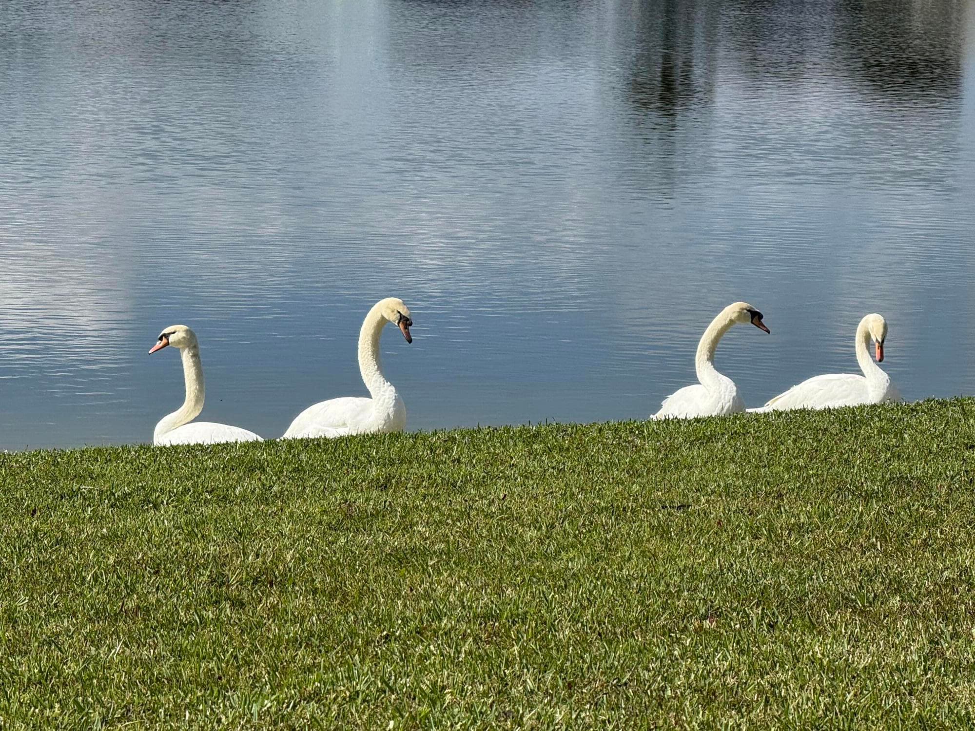 8913 SW Chevy Circle, Stuart, FL 34997 — photo 2 of 21