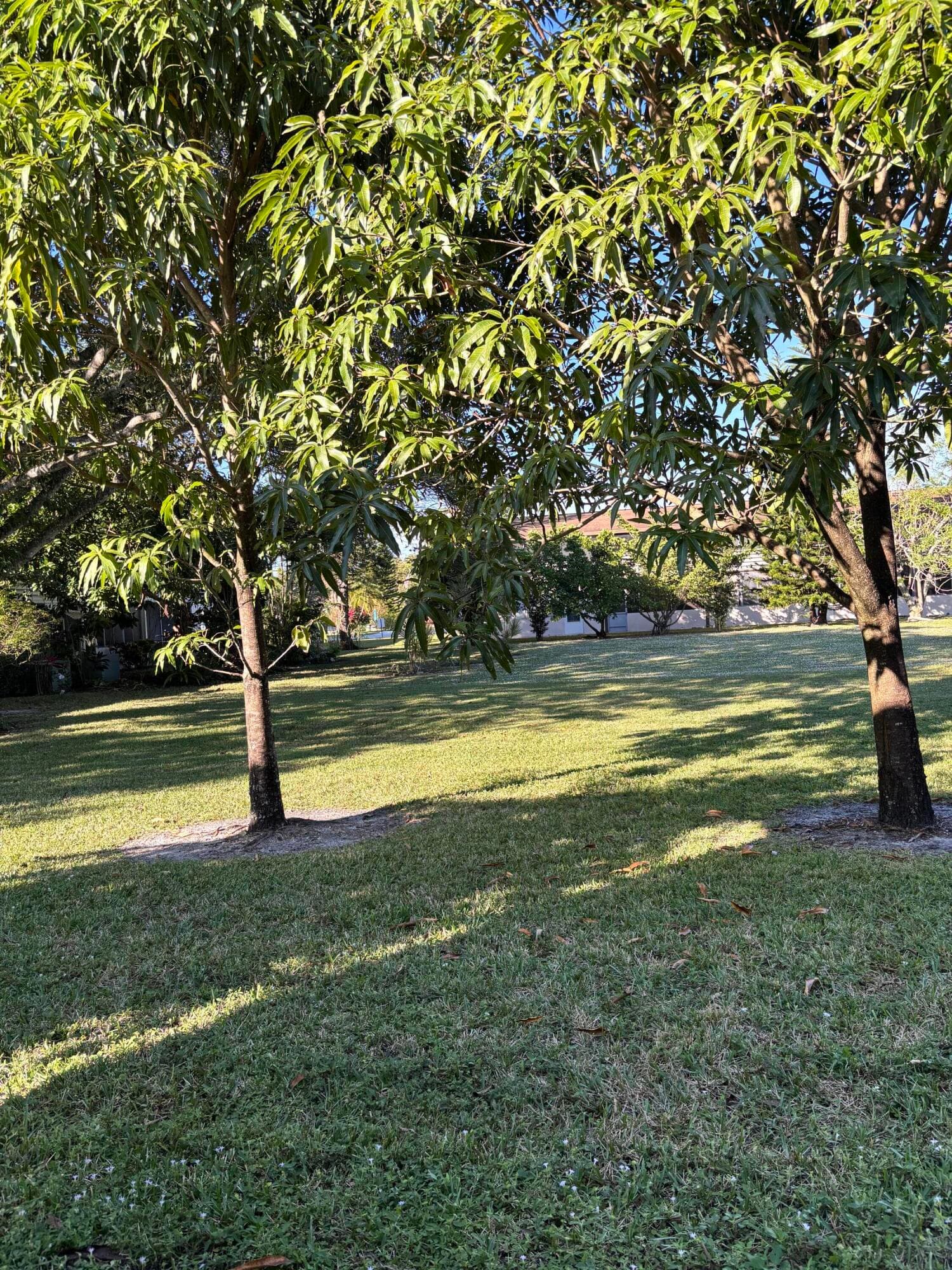 197 Sussex K 197, West Palm Beach, FL 33417 — photo 16 of 17