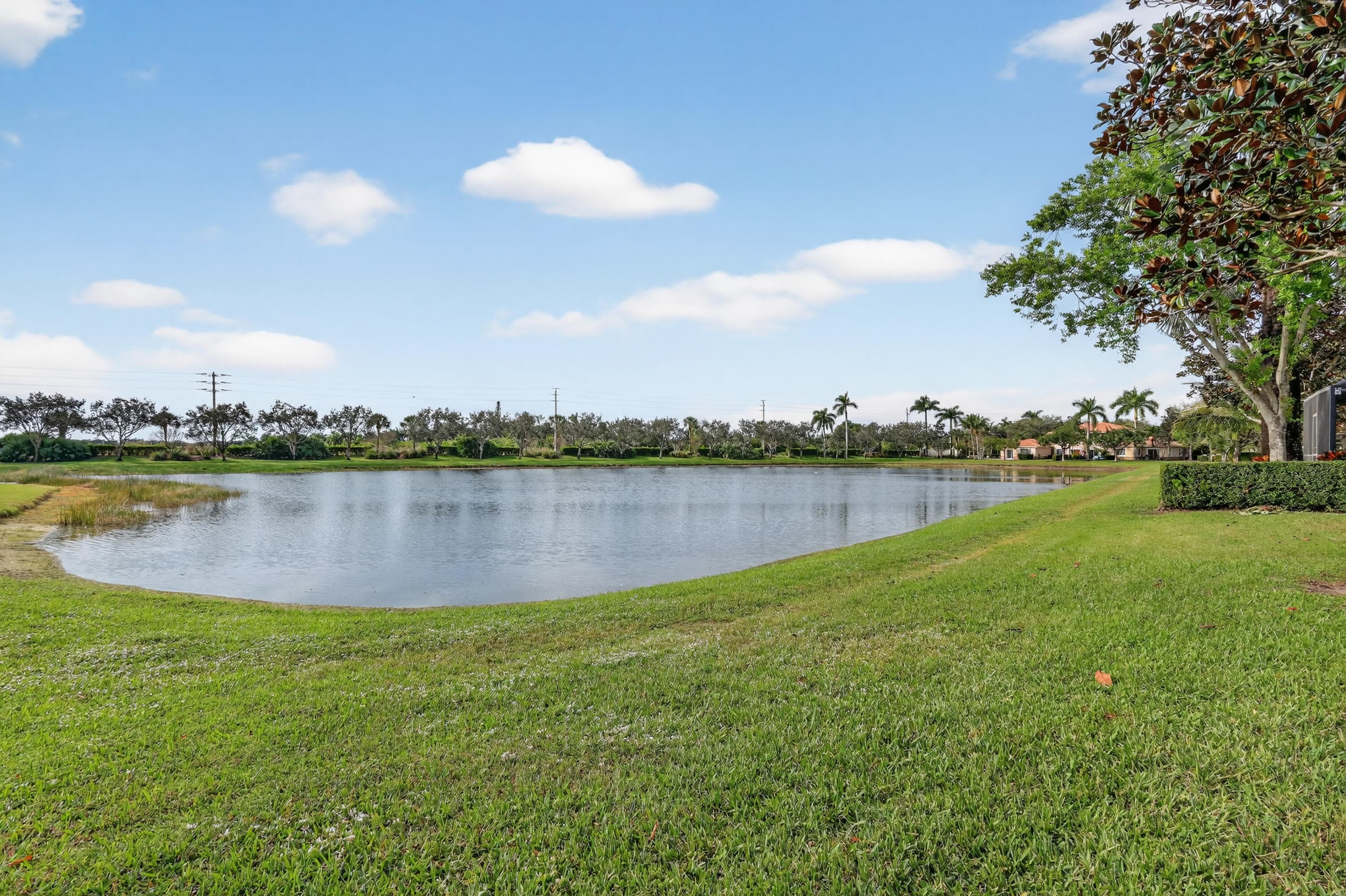 6698 Old Farm Trail, Boynton Beach, FL 33437 — photo 51 of 70