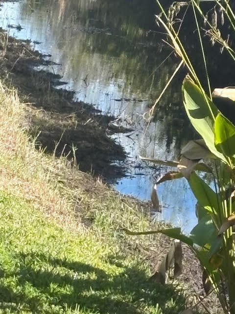 1848 Via Castello, Wellington, FL 33411 — photo 73 of 107