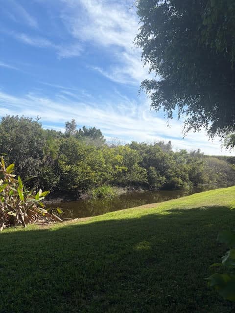 1848 Via Castello, Wellington, FL 33411 — photo 68 of 107