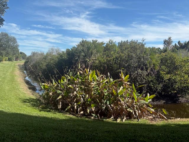 1848 Via Castello, Wellington, FL 33411 — photo 65 of 107