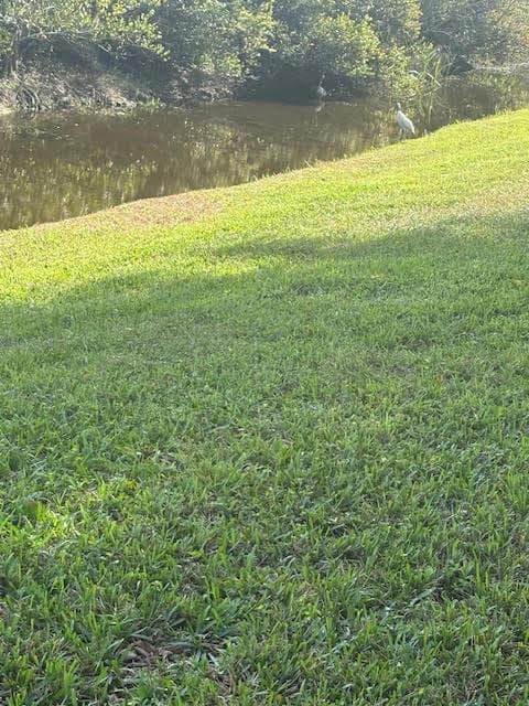 1848 Via Castello, Wellington, FL 33411 — photo 71 of 107