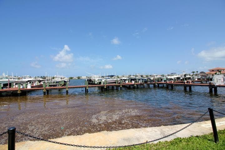 157 Yacht Club Way 201 Corner, Hypoluxo, FL 33462 — photo 16 of 24