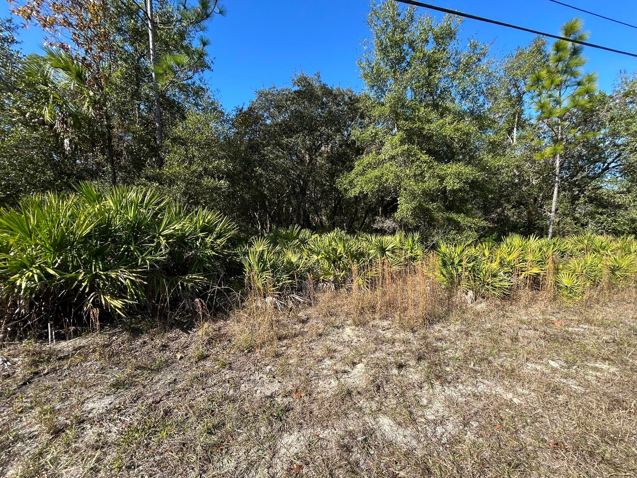 632 N Dunkenfield Avenue, Crystal River, FL 34429 — photo