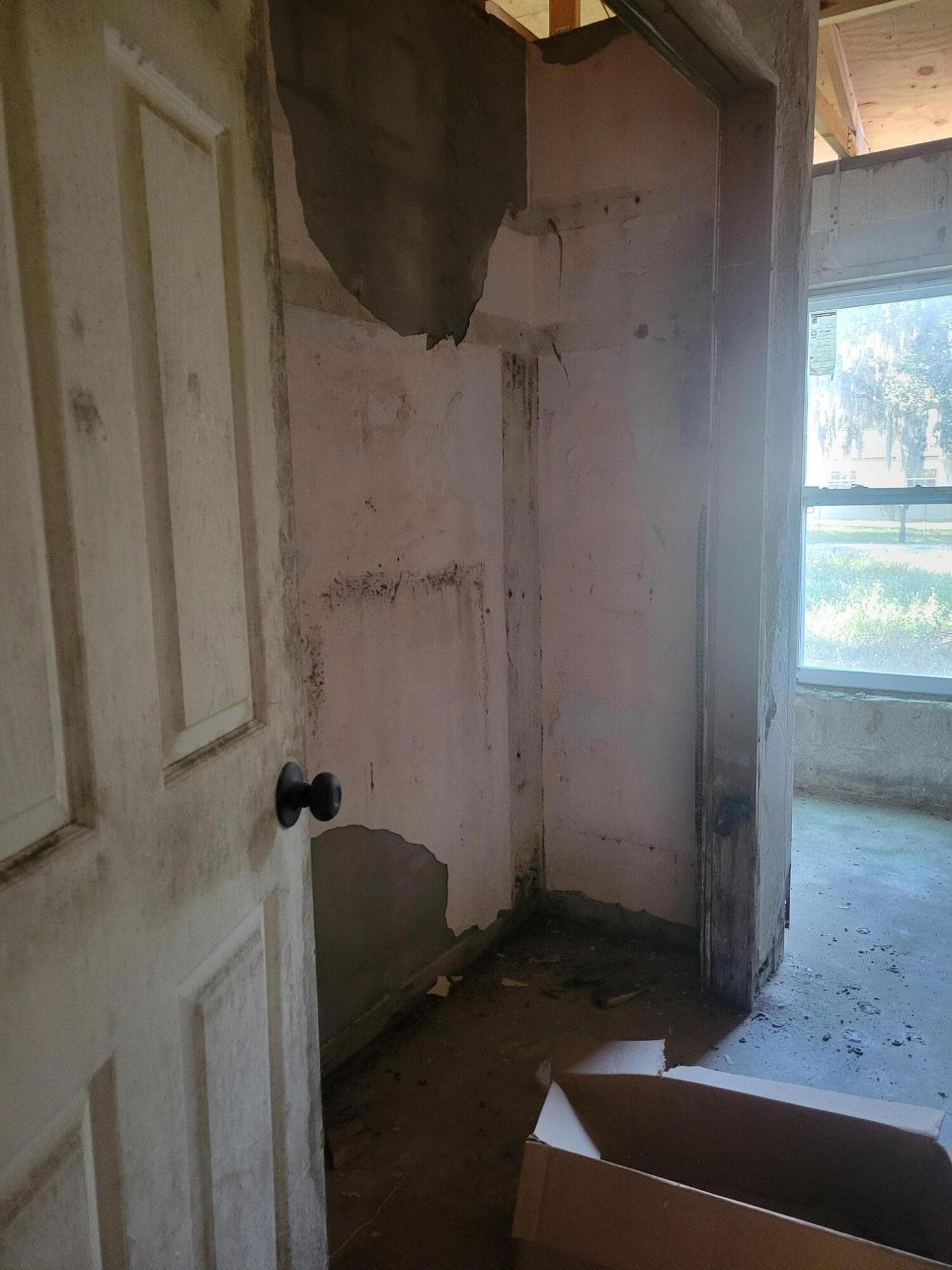 1817 Palm Boulevard, Melbourne, FL 32901 — photo 20 of 35