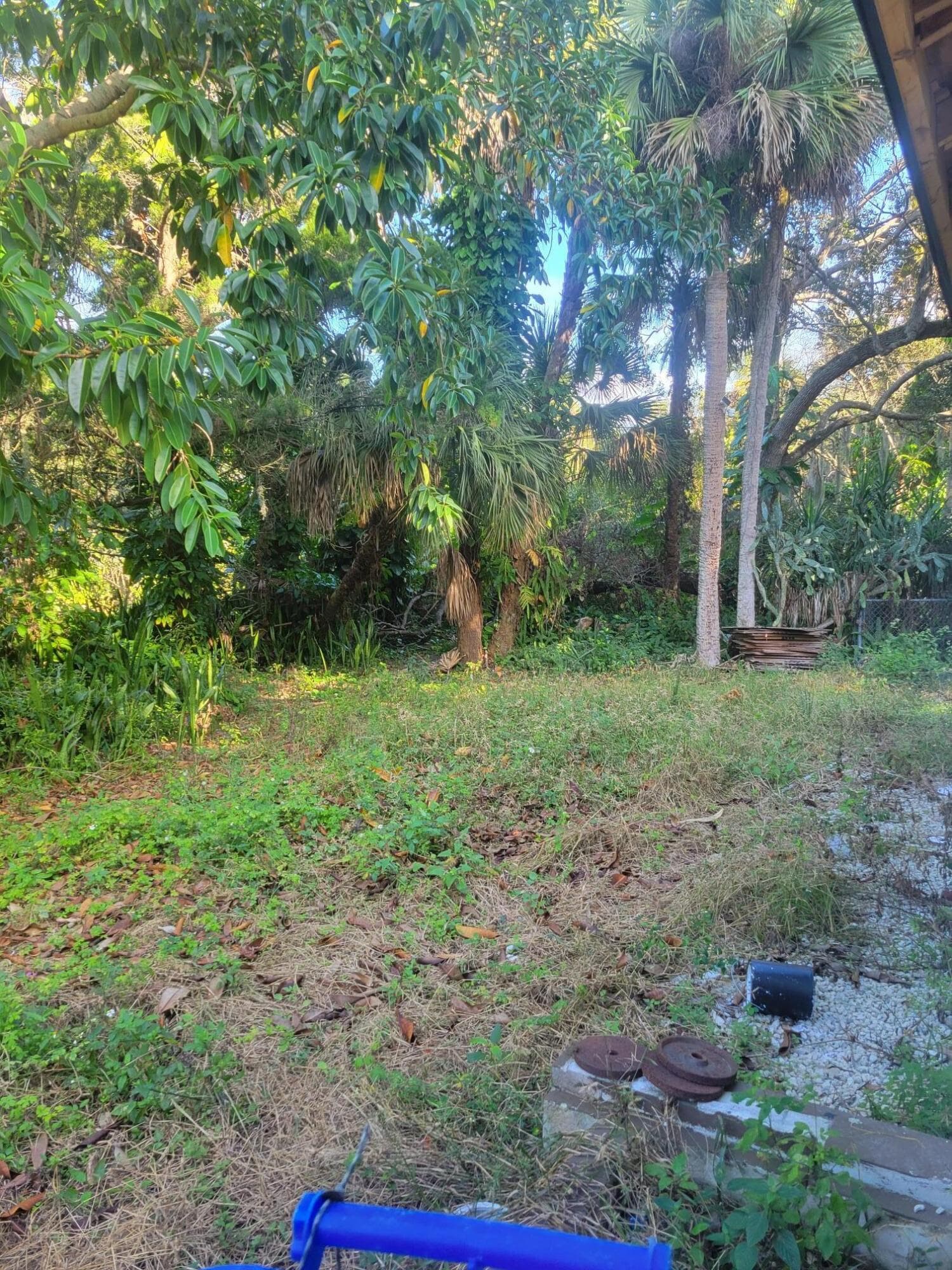 1817 Palm Boulevard, Melbourne, FL 32901 — photo 26 of 35