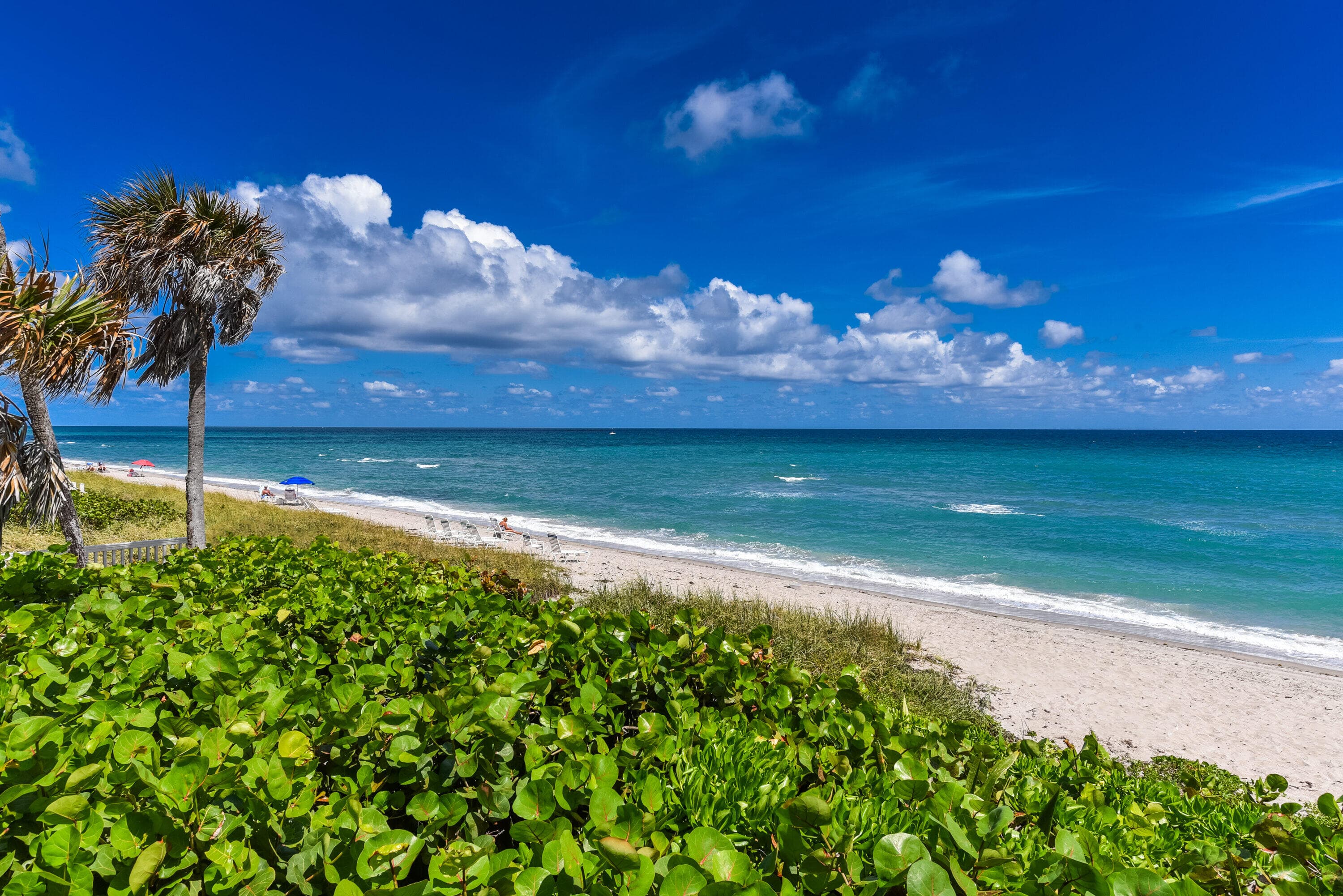 485 E Royal Palm Road 403, Boca Raton, FL 33432 — photo 48 of 74