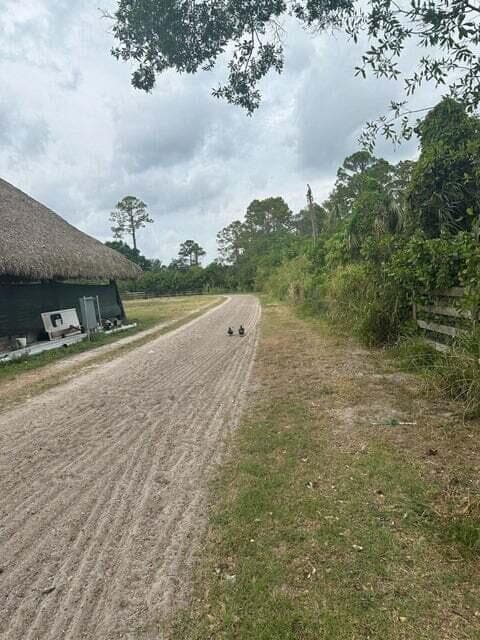 3525 D Rd Road, Loxahatchee Groves, FL 33470 — photo 3 of 10