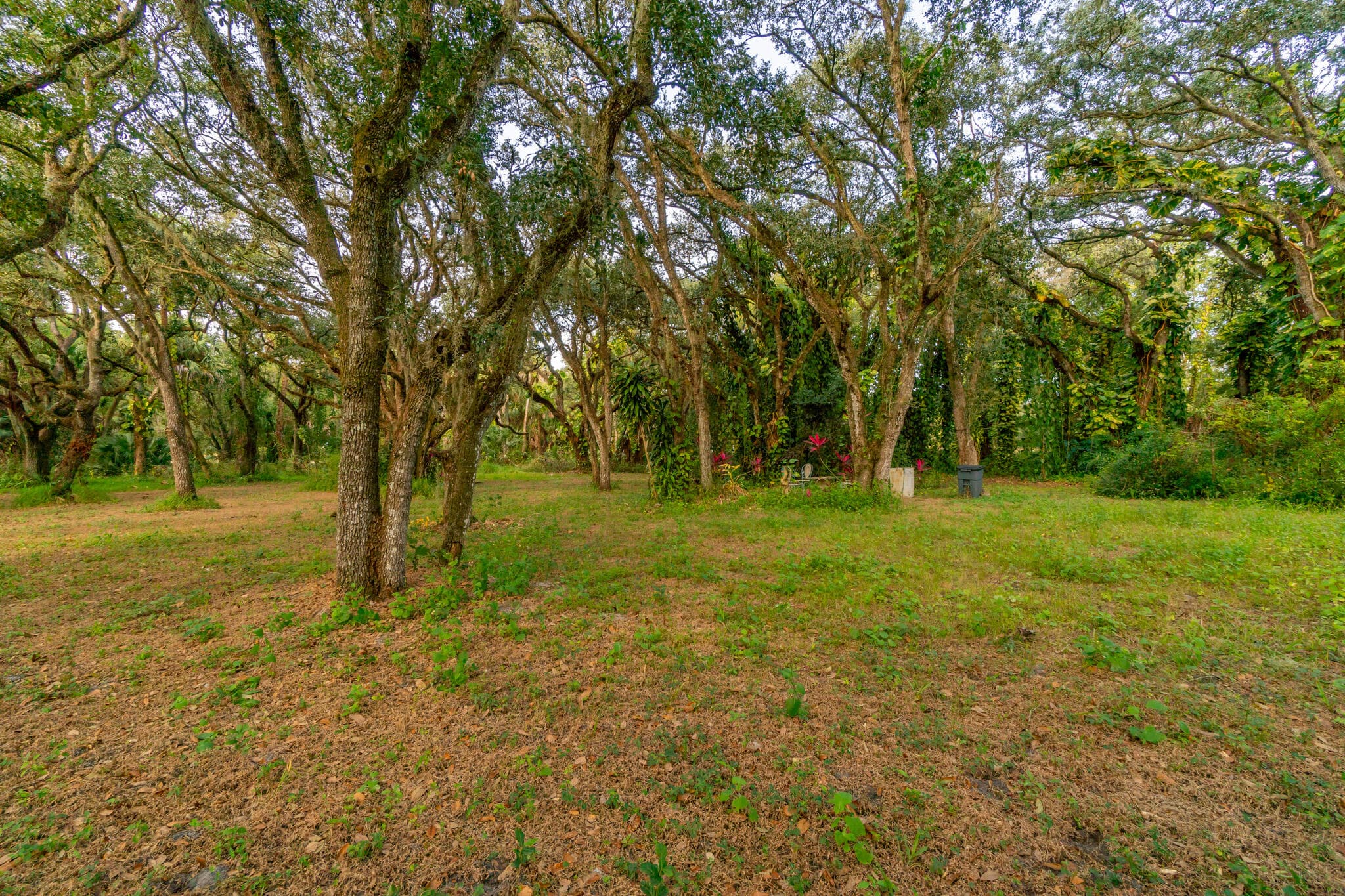 3453 NW 160th Street, Okeechobee, FL 34972 — photo 9 of 40