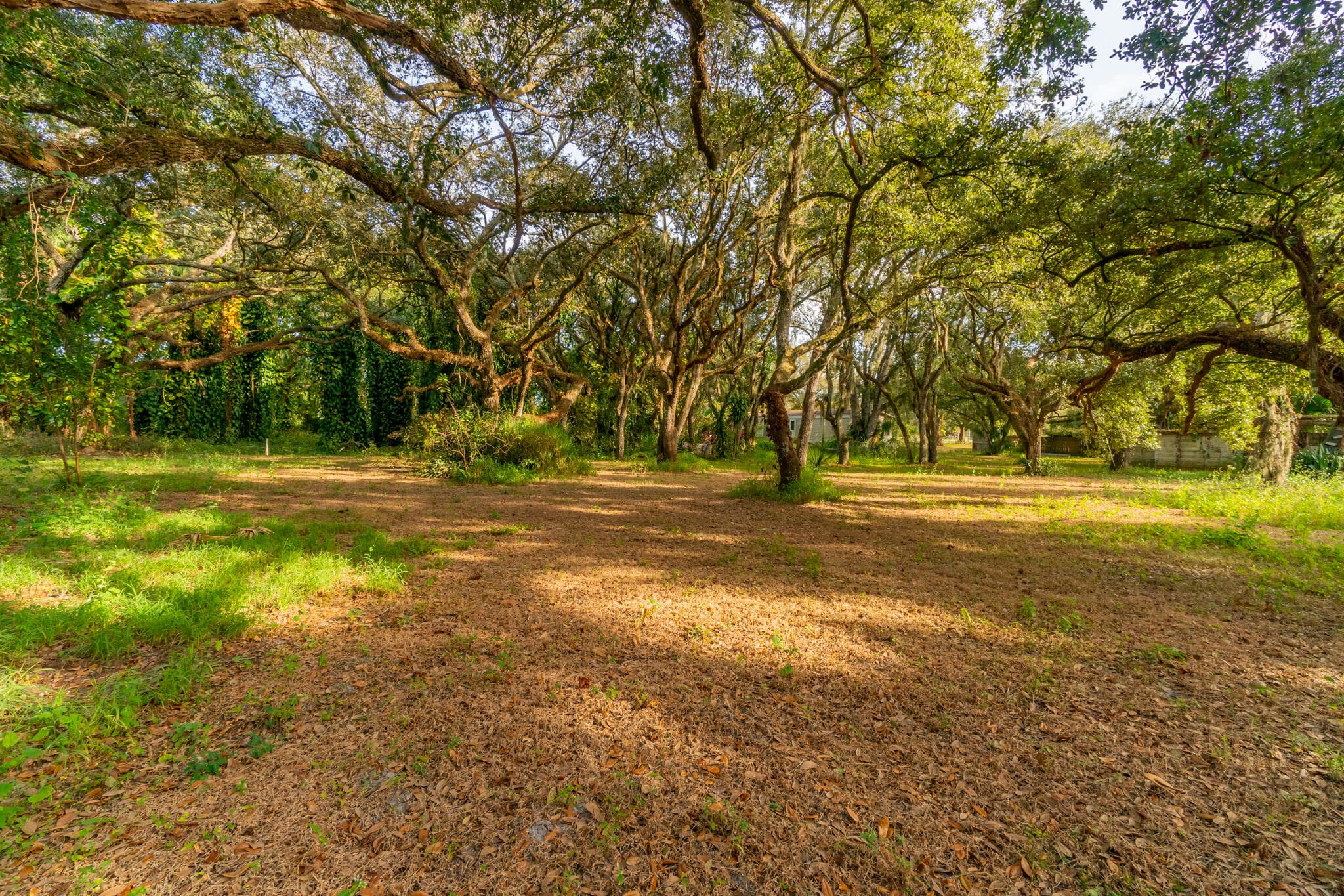 3453 NW 160th Street, Okeechobee, FL 34972 — photo 6 of 40