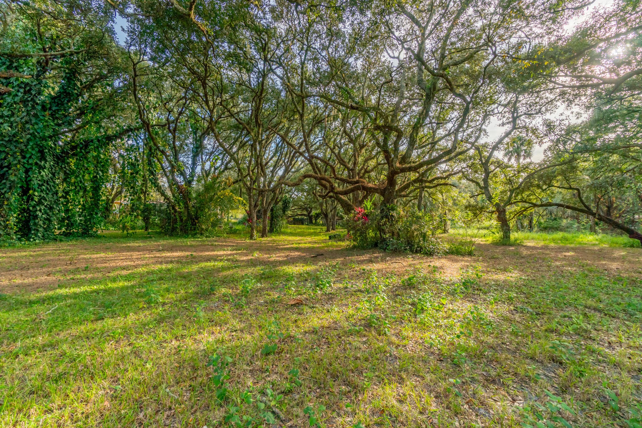 3453 NW 160th Street, Okeechobee, FL 34972 — photo 7 of 40