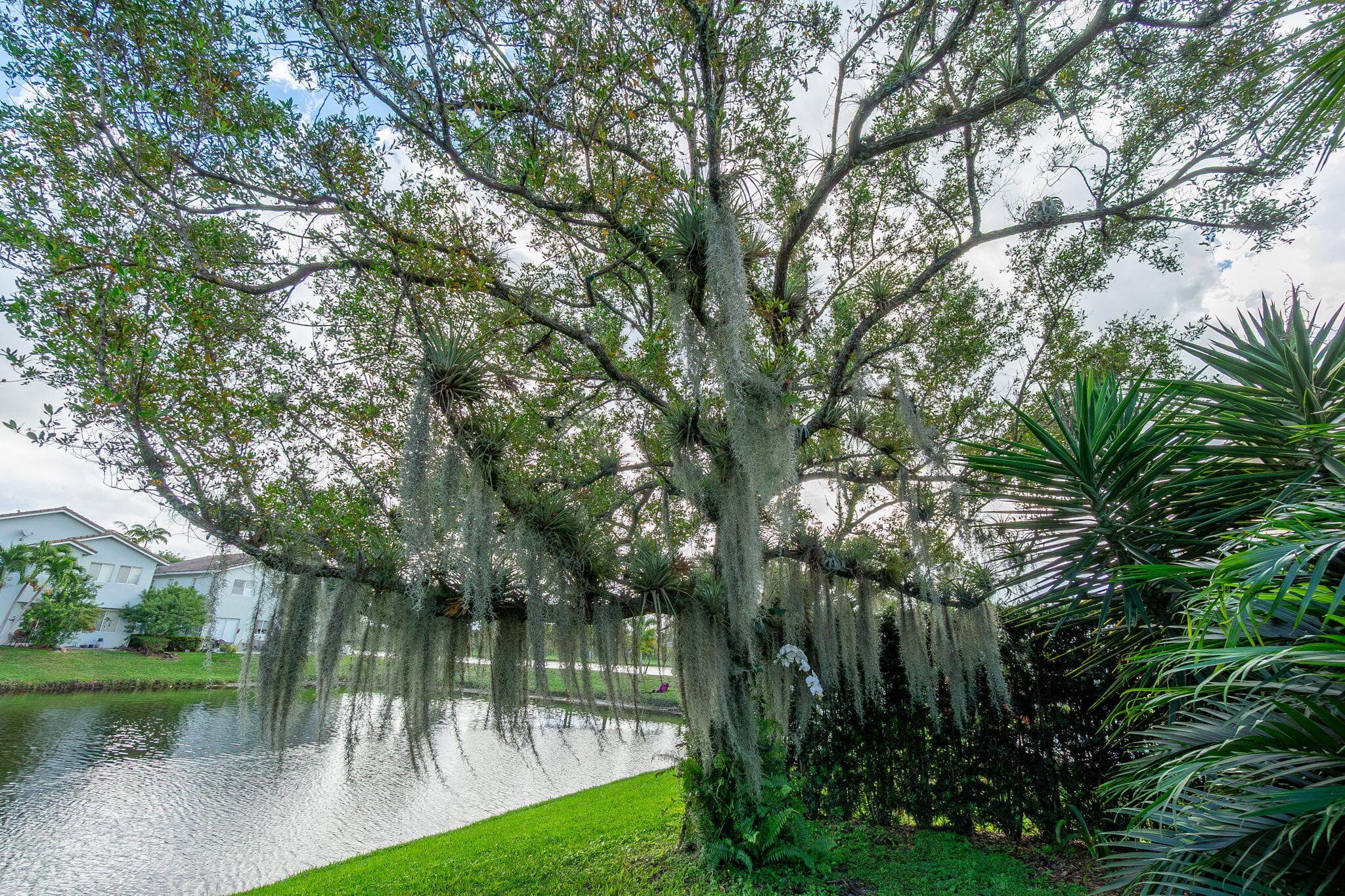 1004 Center Stone Lane, Riviera Beach, FL 33404 — photo 42 of 47