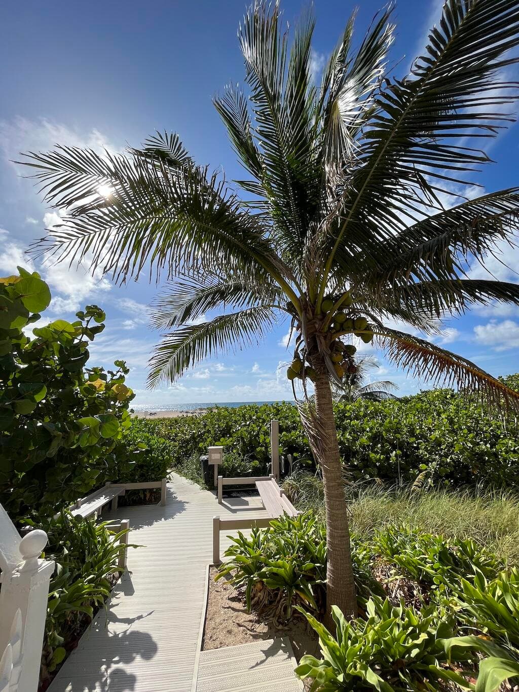 2800 N Ocean Drive B-23c, Singer Island, FL 33404 — photo 27 of 39