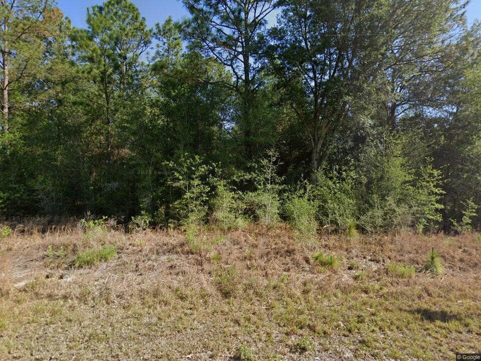 20313 SW Audubon Avenue, Dunnellon, FL 34431 — photo