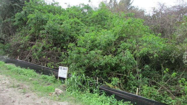 16750 SW Conners Highway, Okeechobee, FL 34974 — photo 1 of 4