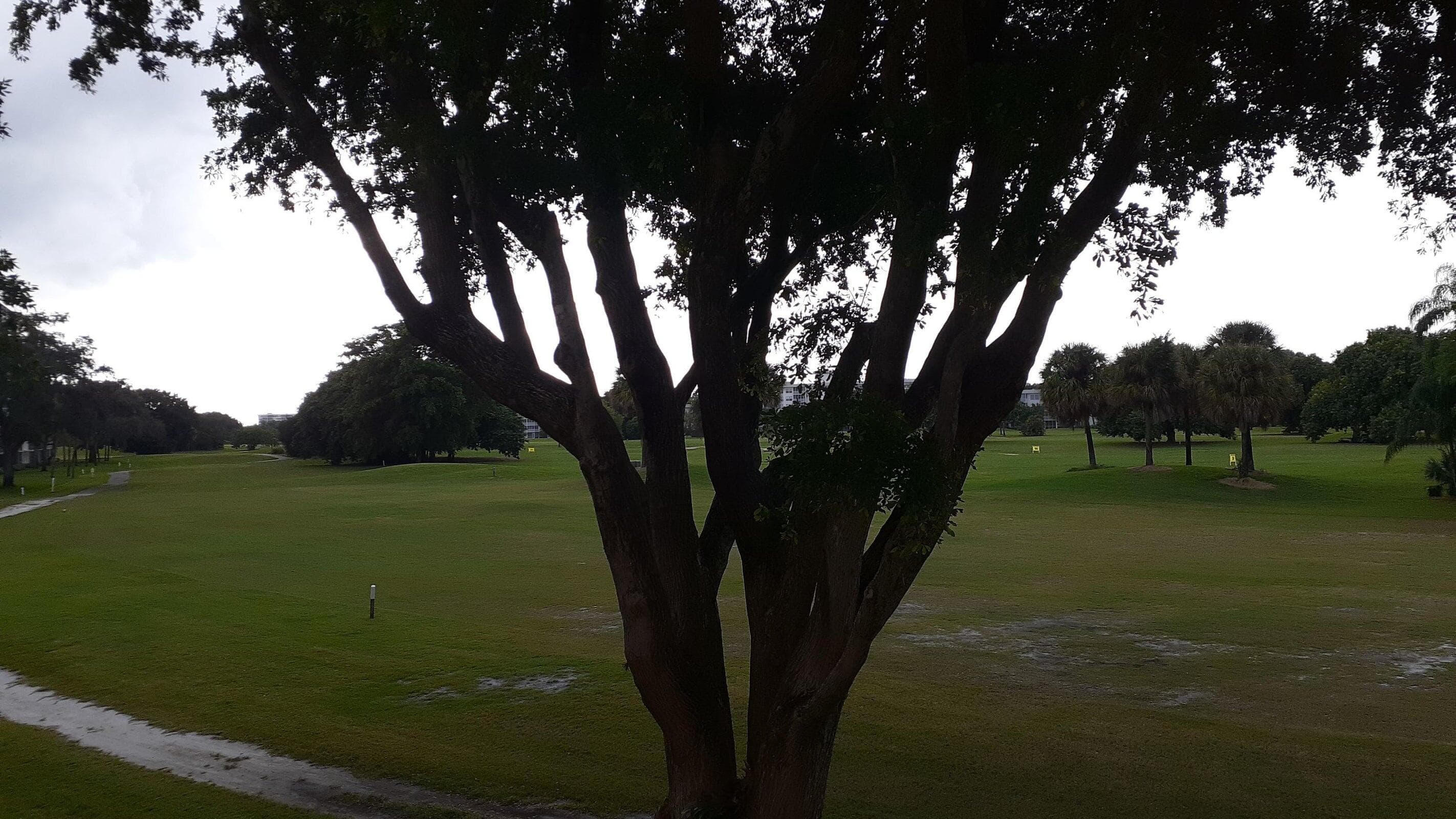 2601 S Course Drive 203, Pompano Beach, FL 33069 — photo 30 of 33