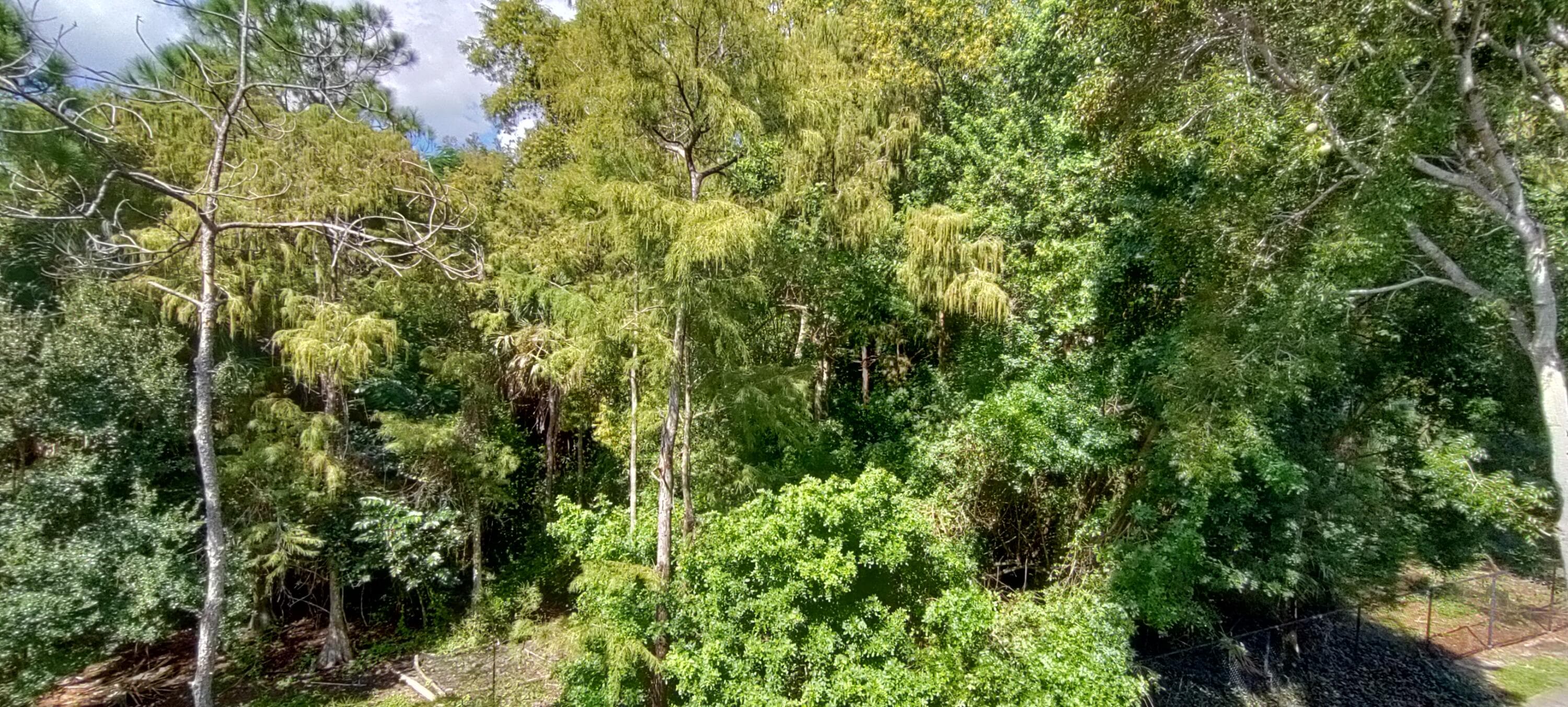 1000 Crestwood Court S 1008, Royal Palm Beach, FL 33411 — photo 17 of 24