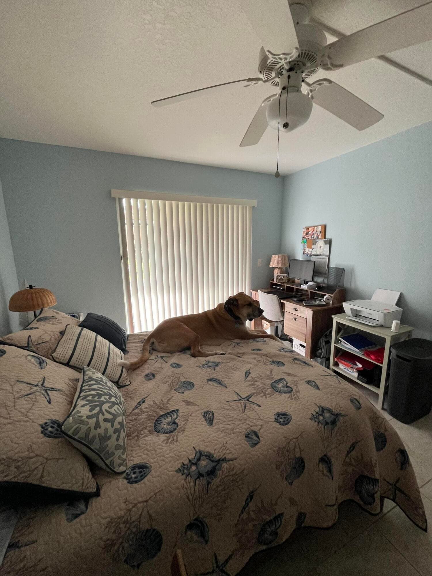 161 Saxony D, Delray Beach, FL 33446 — photo 20 of 29