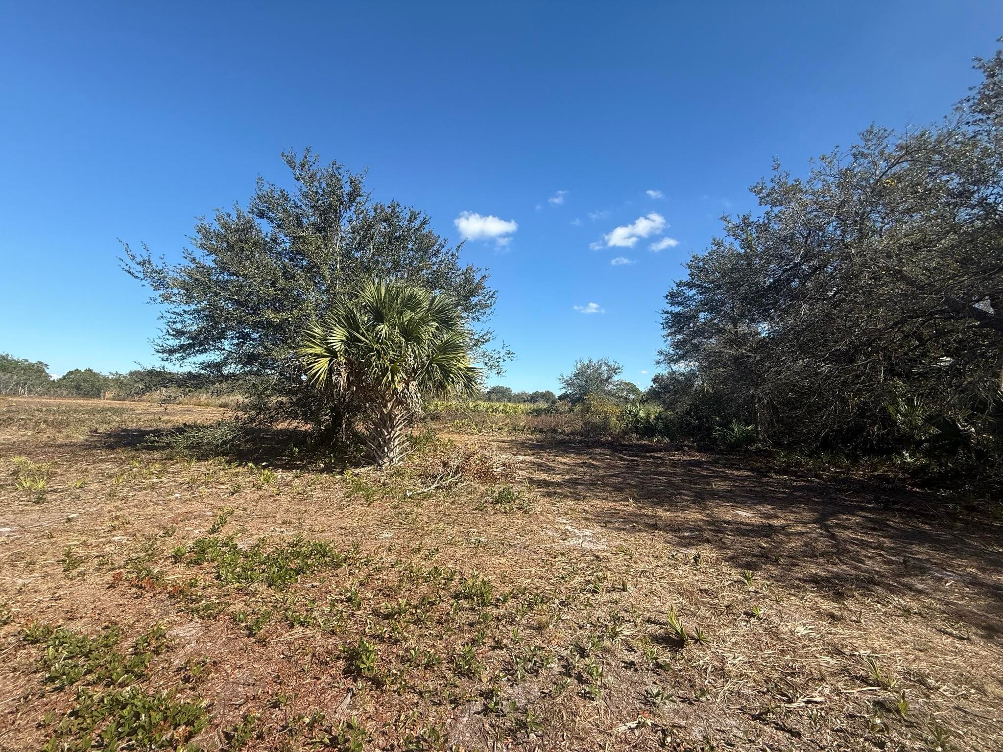 17065 NW 306th Street, Okeechobee, FL 34972 — photo 2 of 16