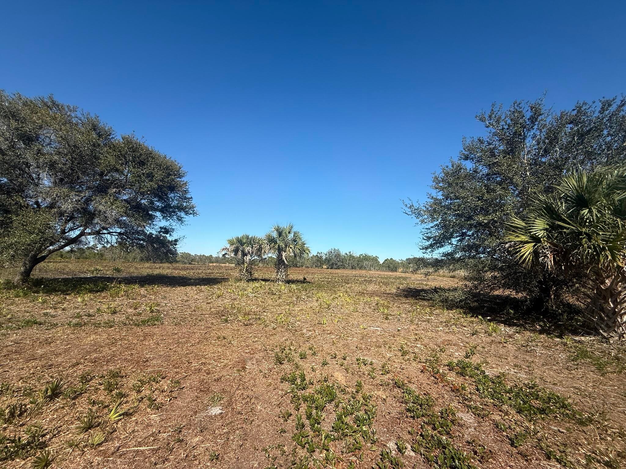 17065 NW 306th Street, Okeechobee, FL 34972 — photo 7 of 16