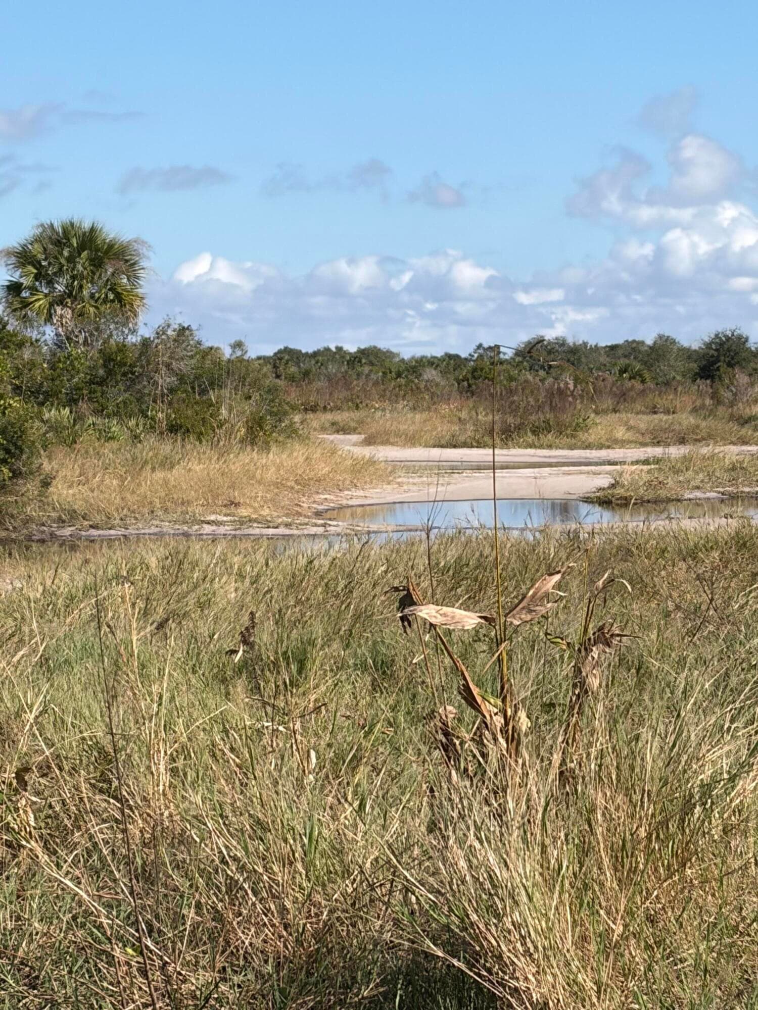 0 NW 308th Street, Okeechobee, FL 34972 — photo 6 of 7