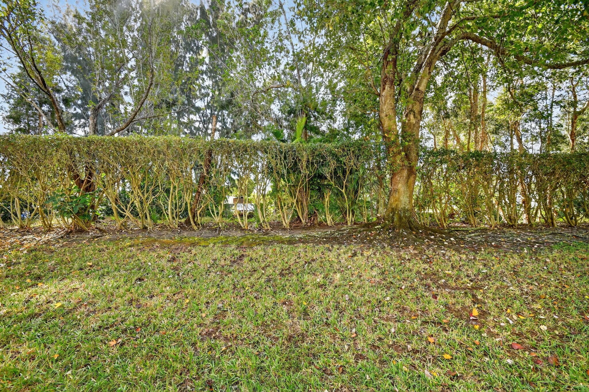5015 Palmbrooke Circle, West Palm Beach, FL 33417 — photo 43 of 56