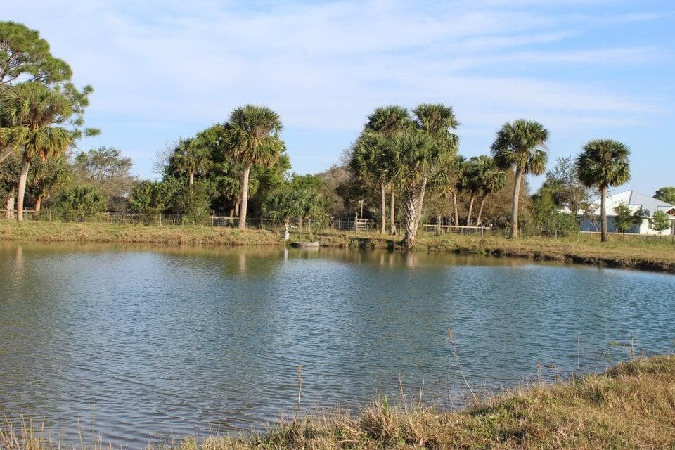 2410 S Brocksmith Road, Fort Pierce, FL 34945 — photo 41 of 65
