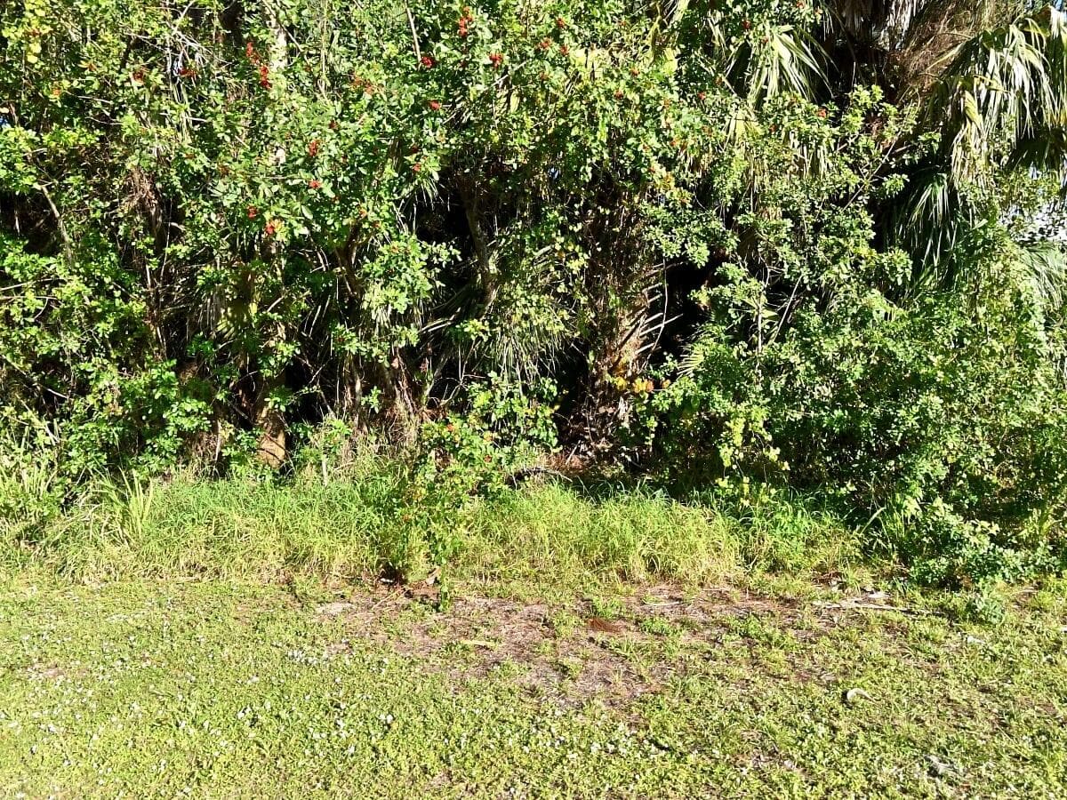 Xxx N 45th Street, Fort Pierce, FL 34946 — photo 4 of 4