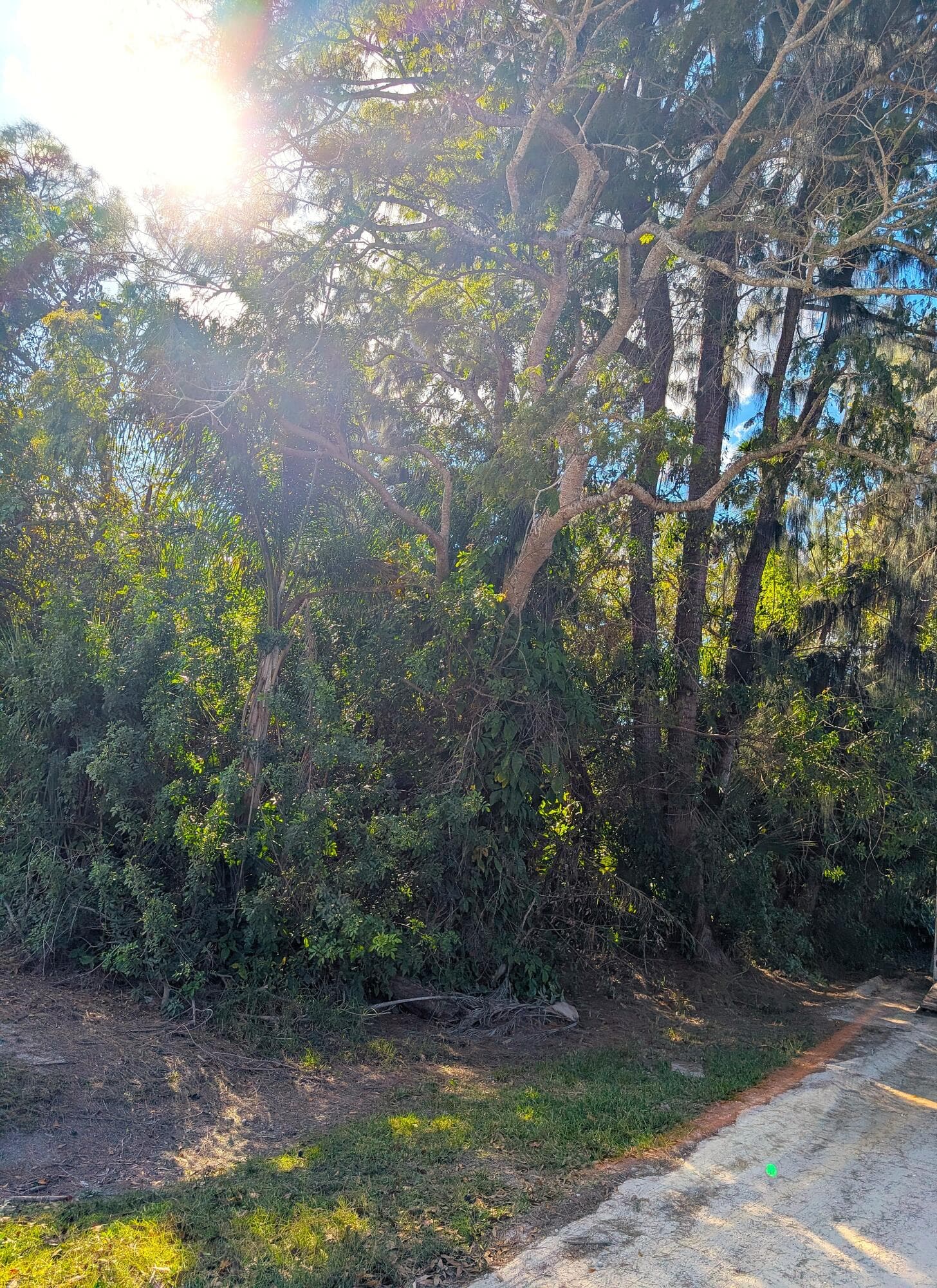 6195 6th Place, Vero Beach, FL 32968 — photo 1 of 2
