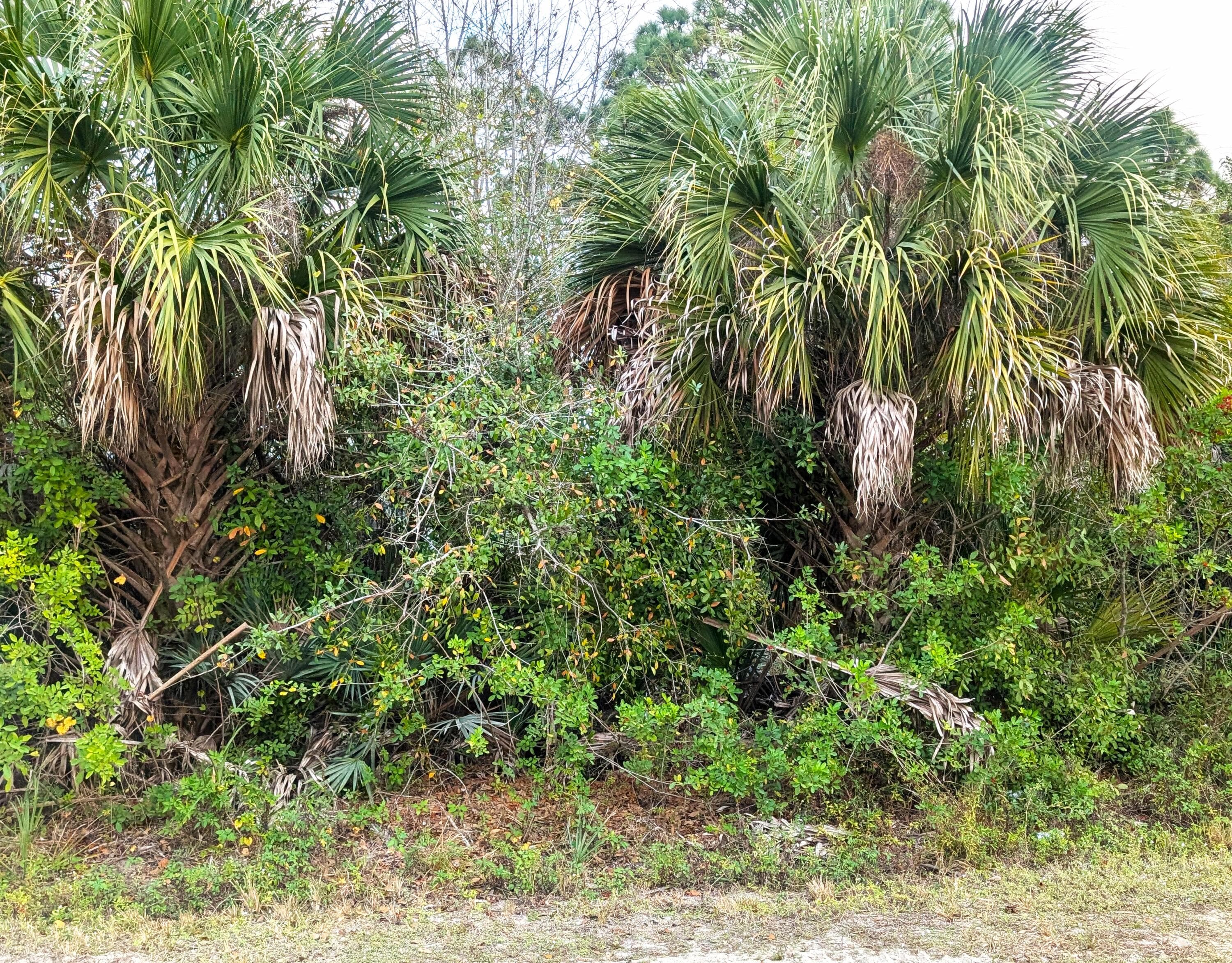 12885 86th Street, Fellsmere, FL 32948 — photo