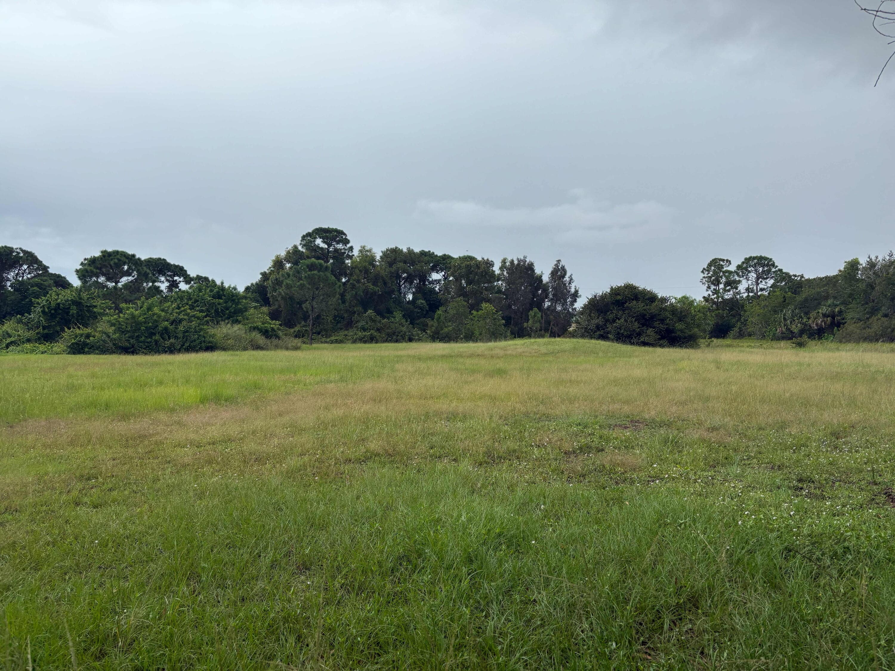 2520 SE Melaleuca Boulevard, Port St. Lucie, FL 34952 — photo 3 of 4