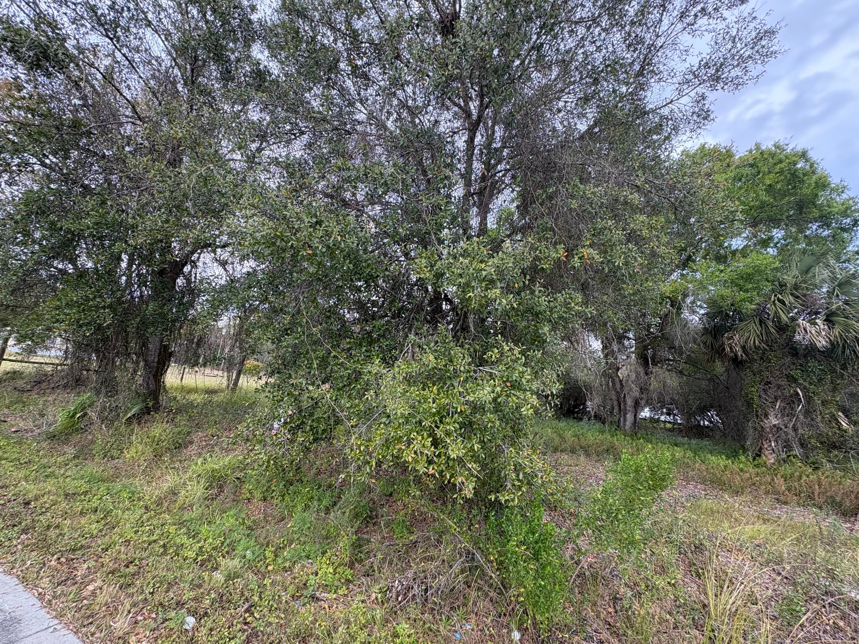 0 NW 1st Street, Okeechobee, FL 34972 — photo 11 of 12
