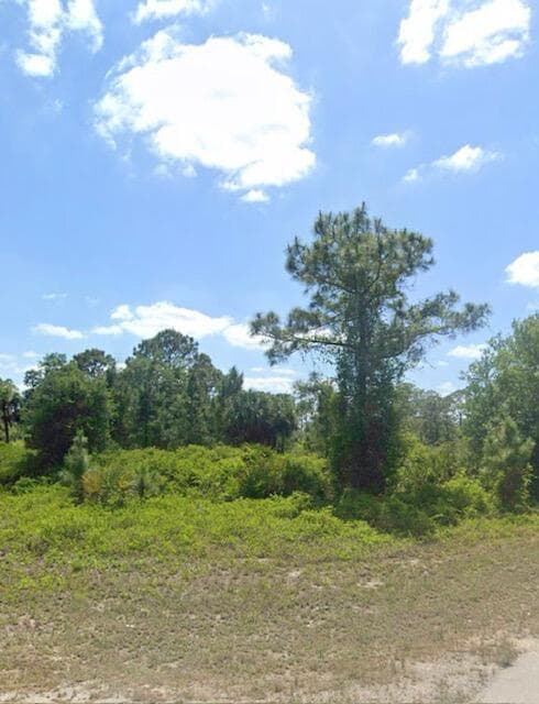 2515 54th Street W, Lehigh Acres, FL 33971 — photo 4 of 4