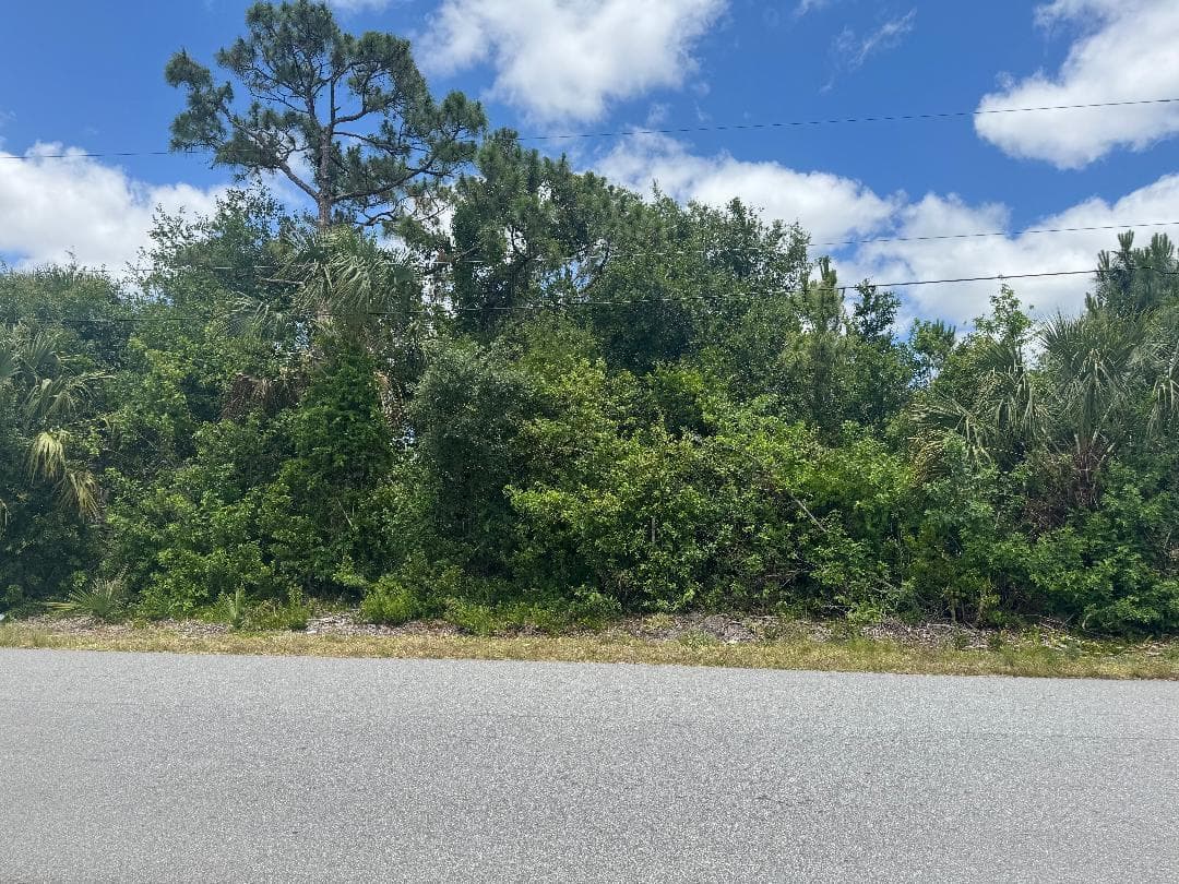 1437 Tidewell Street SE, Palm Bay, FL 32909 — photo 1 of 3