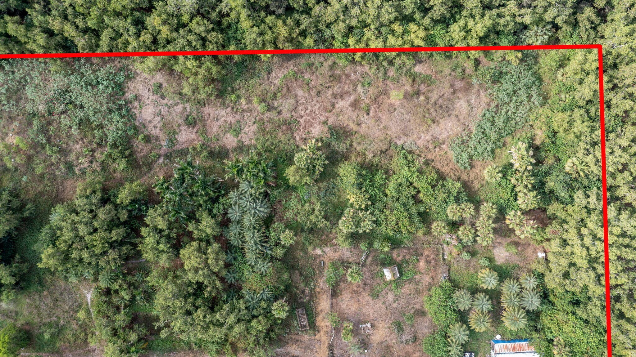 20199 Cole Lane, The Acreage, FL 33470 — photo 6 of 12