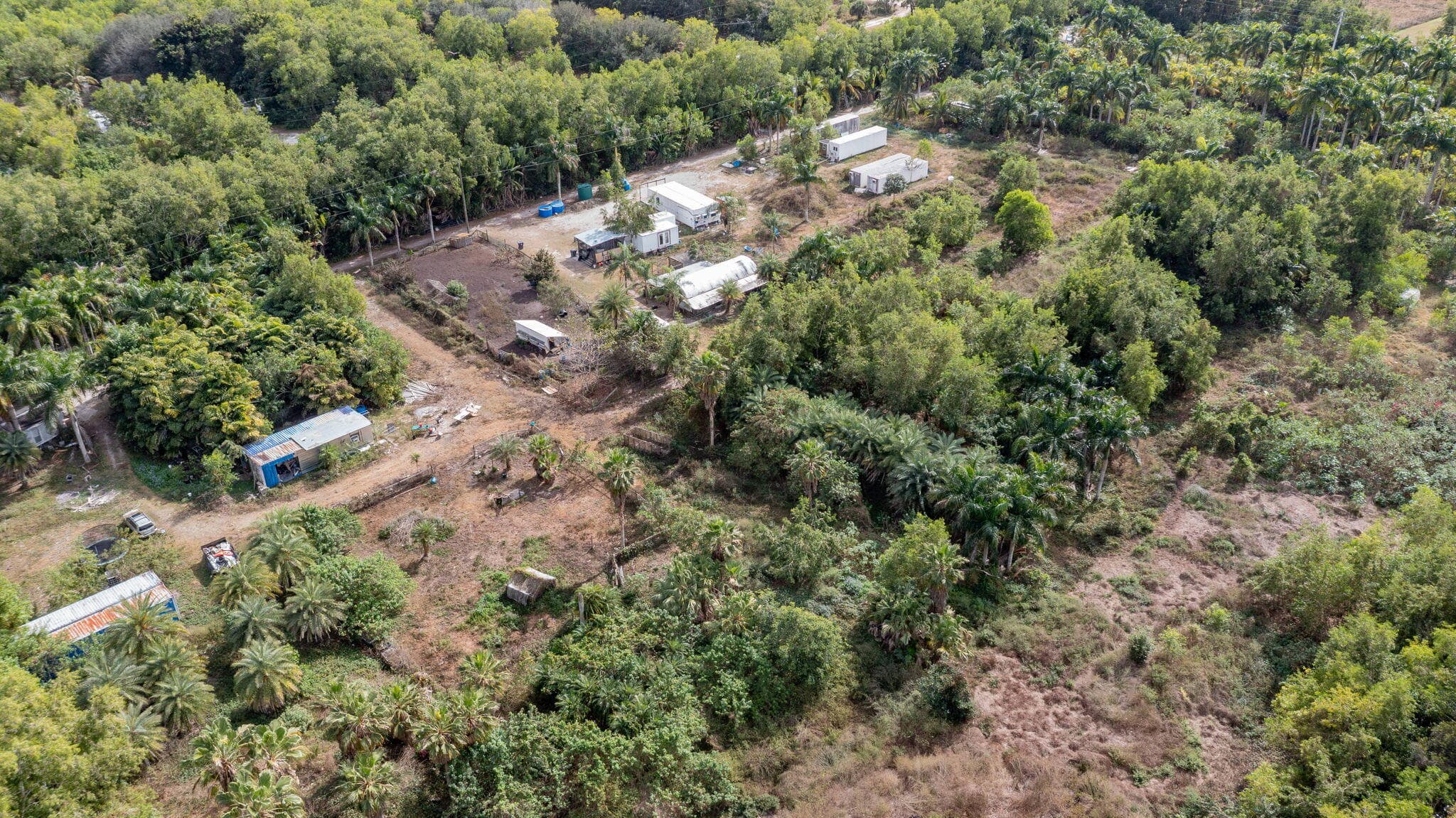 20199 Cole Lane, The Acreage, FL 33470 — photo 8 of 12