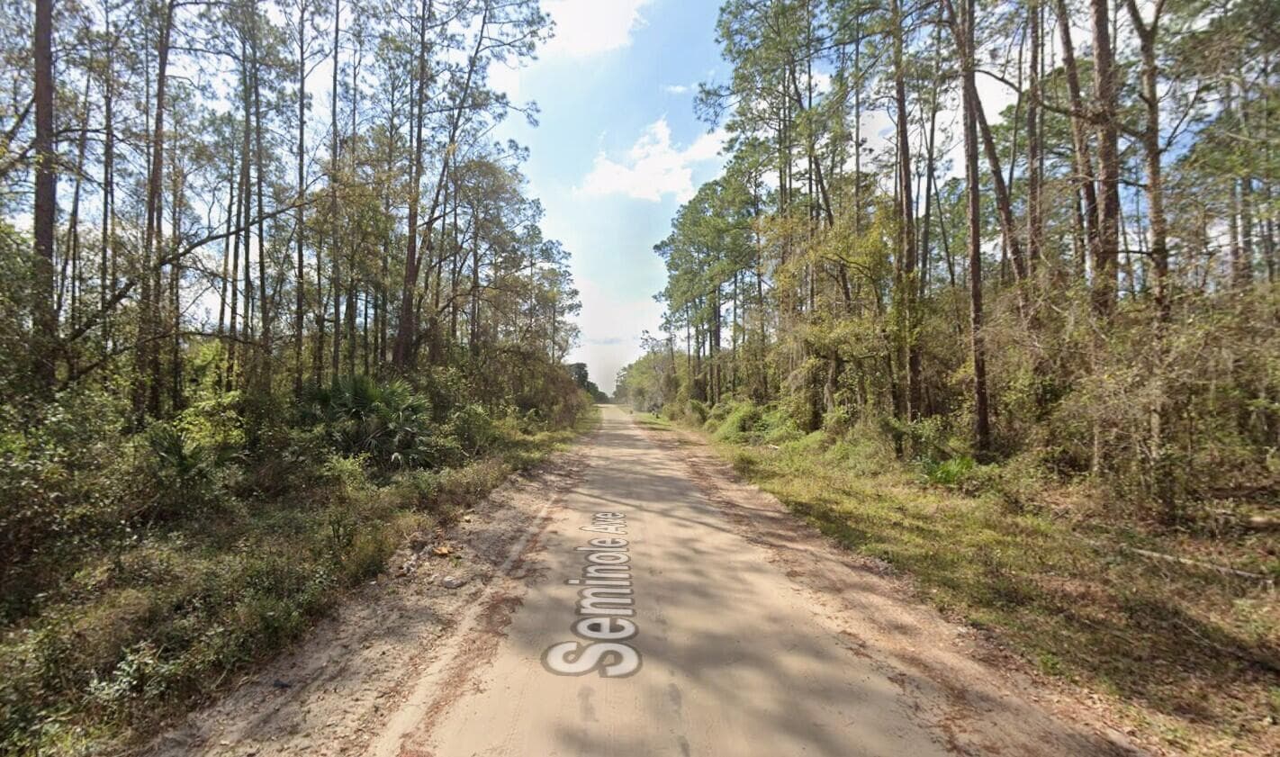 Tbd Seminole Avenue, Interlachen, FL 32148 — photo 8 of 10